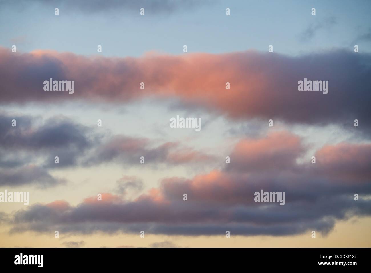 Beautiful soft pink and blue sunset sky background with fluffy clouds ...
