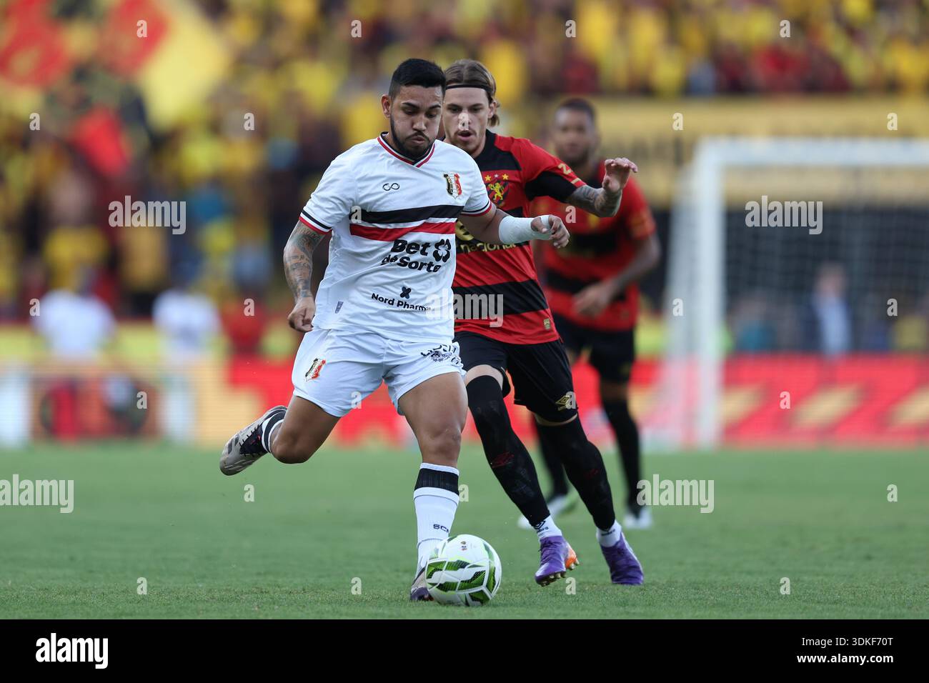 PE - RECIFE - 01/31/2026 - PERNAMBUCANO 2026, SPORT x SANTA CRUZ - Alex ...