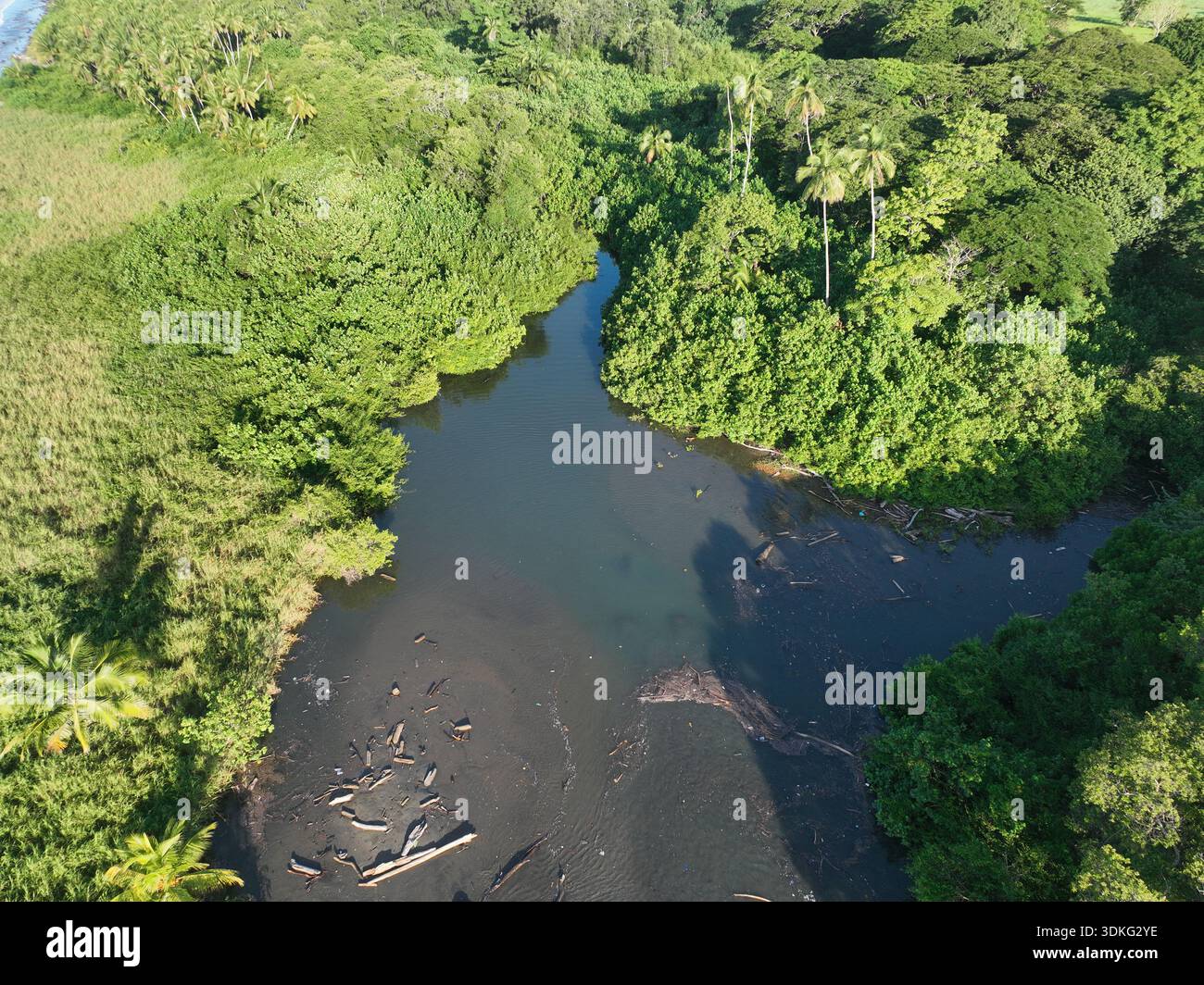 Calm river meets tropical hi-res stock photography and images - Alamy