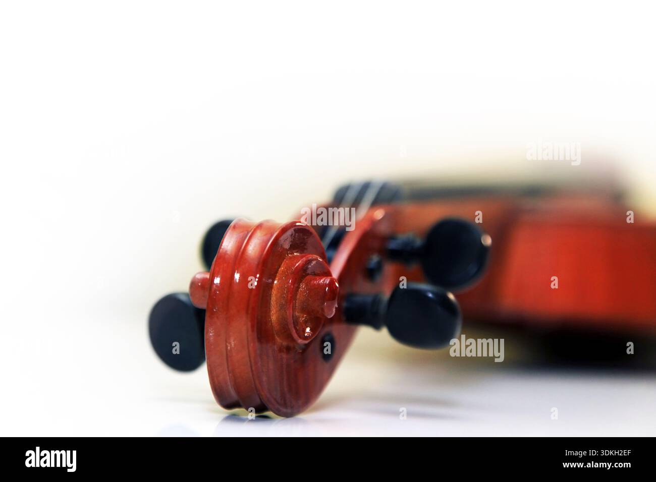 1937 old violin on the white background Stock Photo