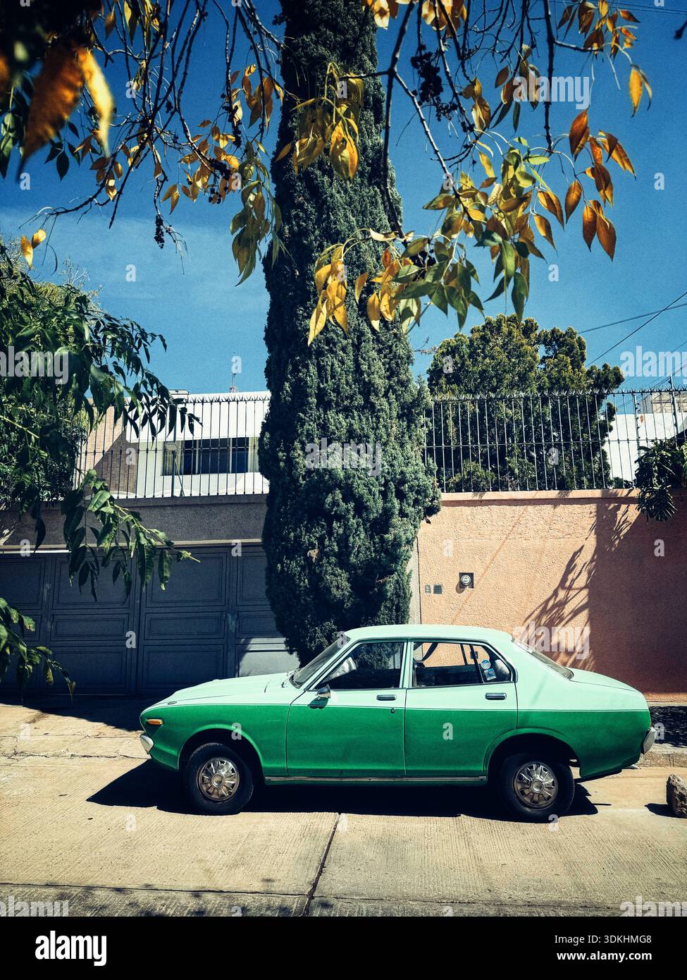 A vintage green car parked beside a tall tree in a sunny suburban neighborhood, showcasing a blend of nature and urban life - Smartphone Captured Stock Image