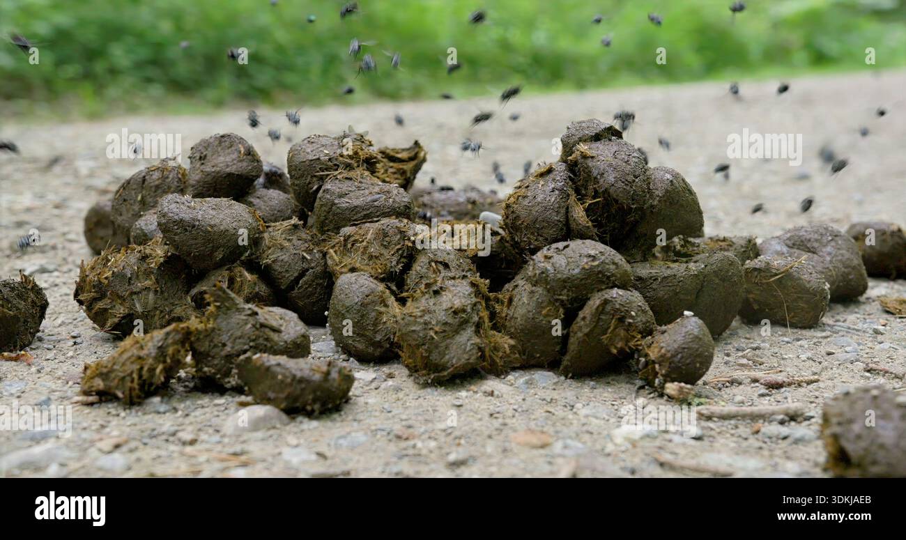 Path Slipping Pellet trail hi-res stock photography and images - Alamy