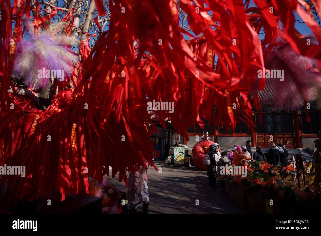 Red prayer ribbons hang from trees at Yuanmingyuan in Beijing, China ...