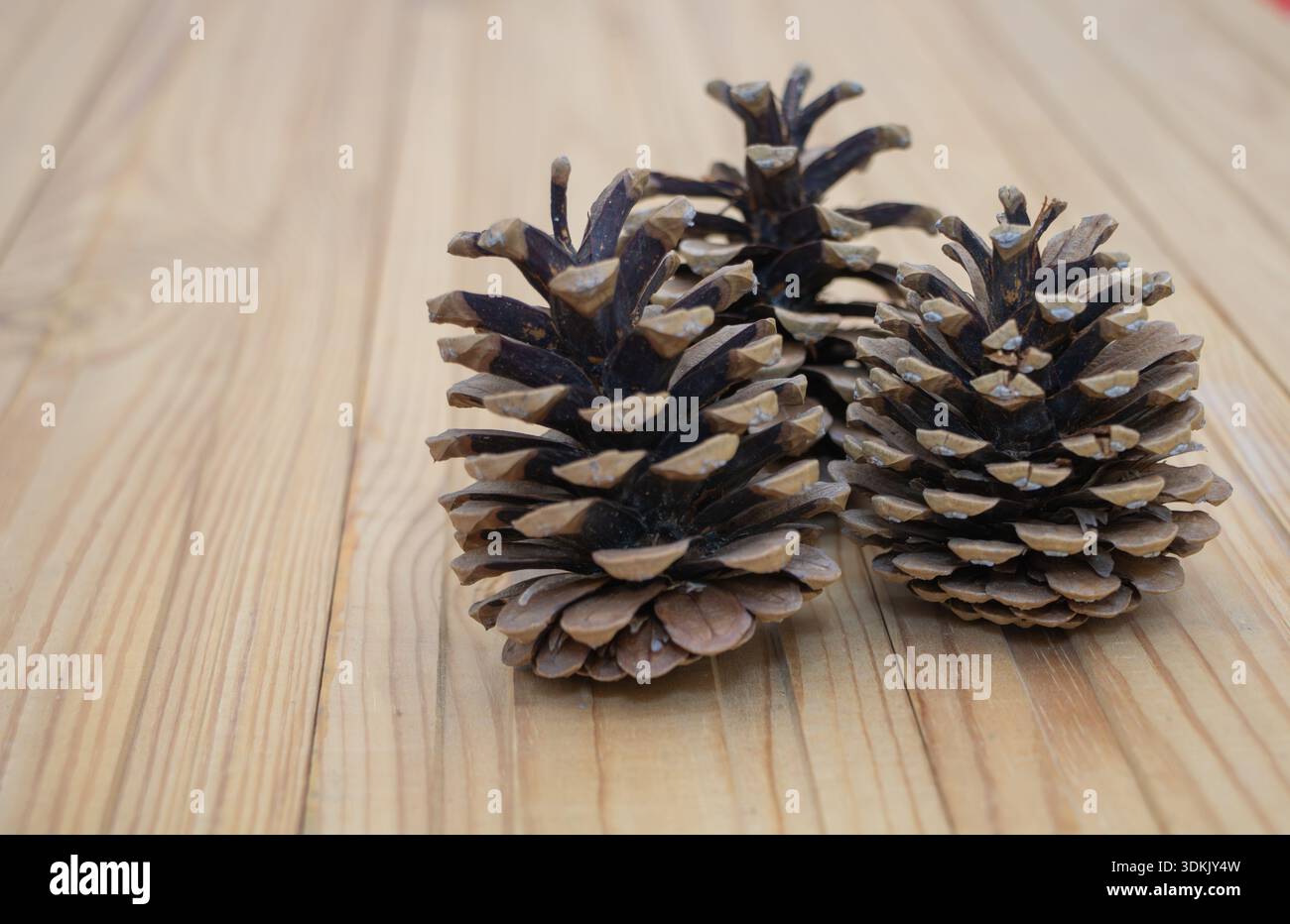 Three Pine Cones on Wooden Table Background. Stock Photo