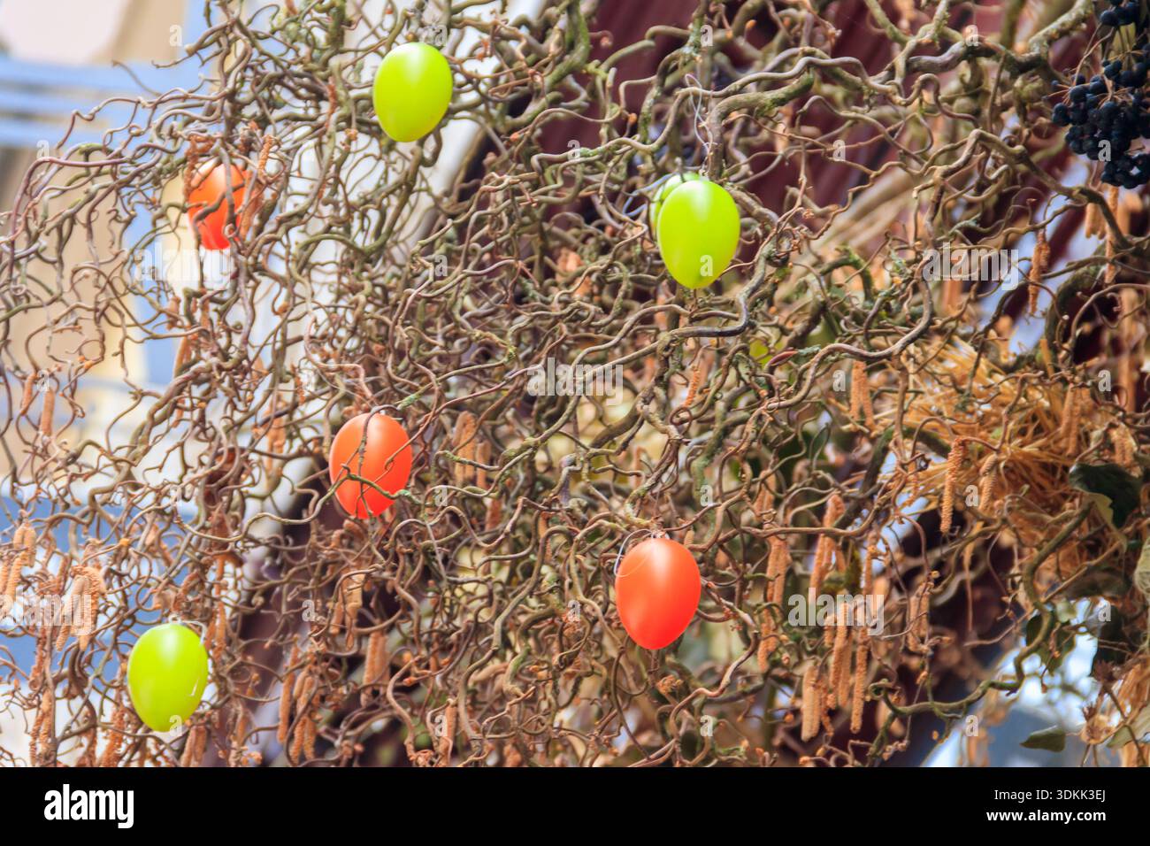 Colorful easter eggs hanging on a tree Stock Photo