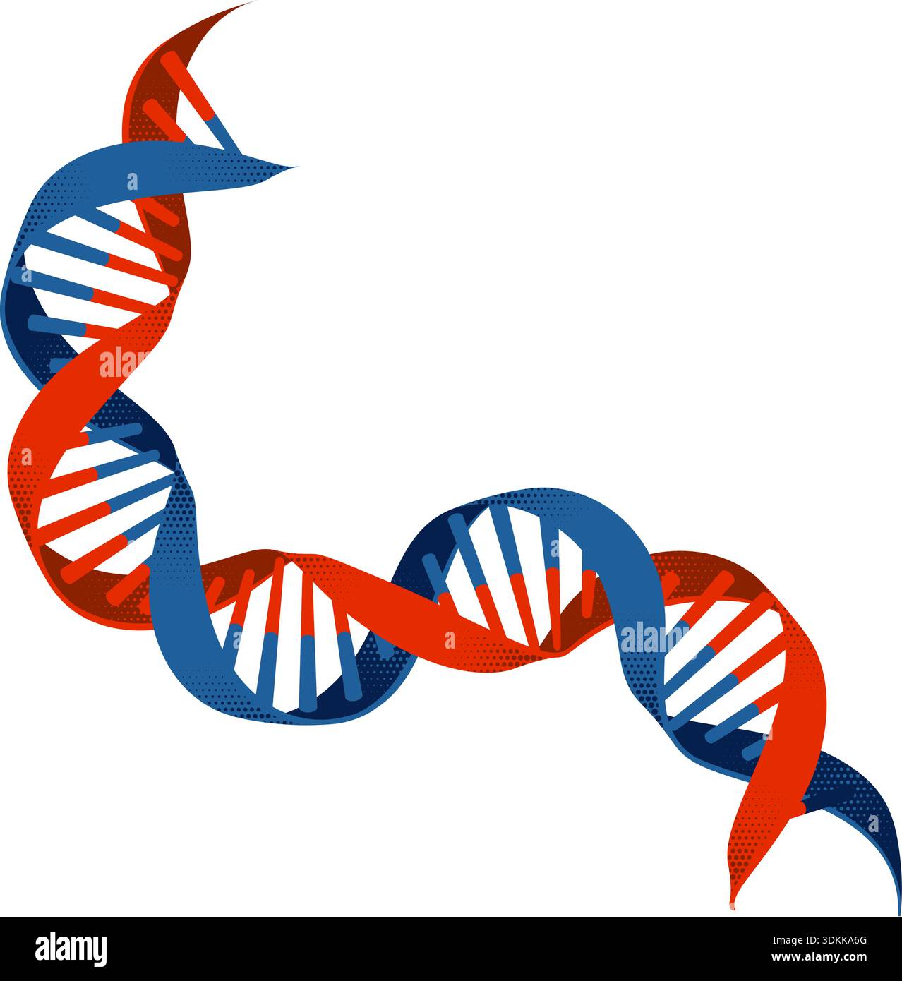 DNA Double Helix Gene Genetic Science Illustration Stock Vector Image ...