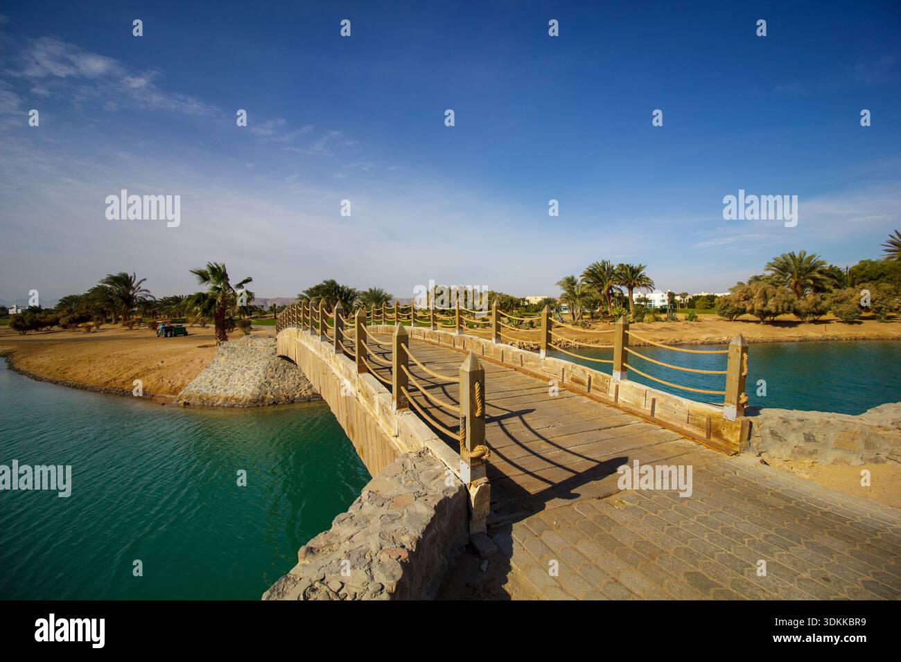 A bridge spans a river with a lush green forest on either side. The ...