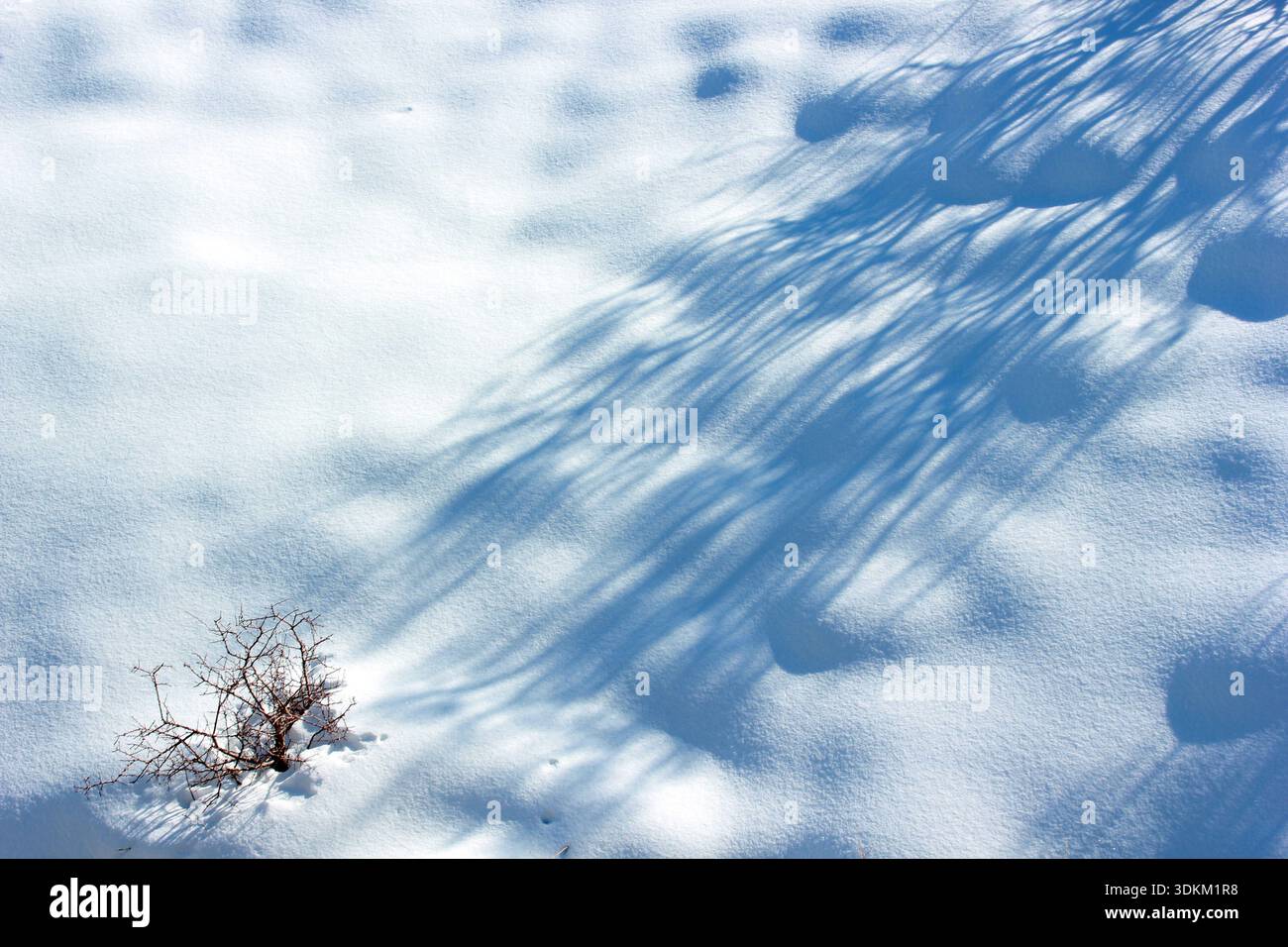 Frozen natural phenomenon hi-res stock photography and images - Alamy