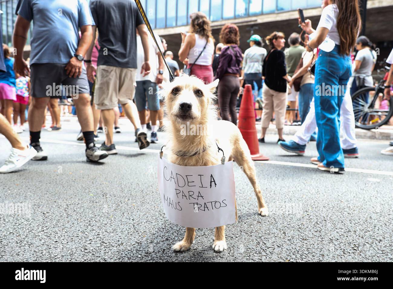 Protesting Dogs Animal protest in Sao Paulo Protesters gather in front of MASP on ...