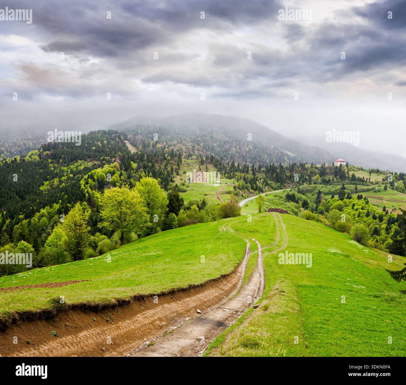 dirt road winding through green rolling hills. rural landscape in carpathian mountain range of ukraine. countryside vista under overcast sky in spring Stock Photo