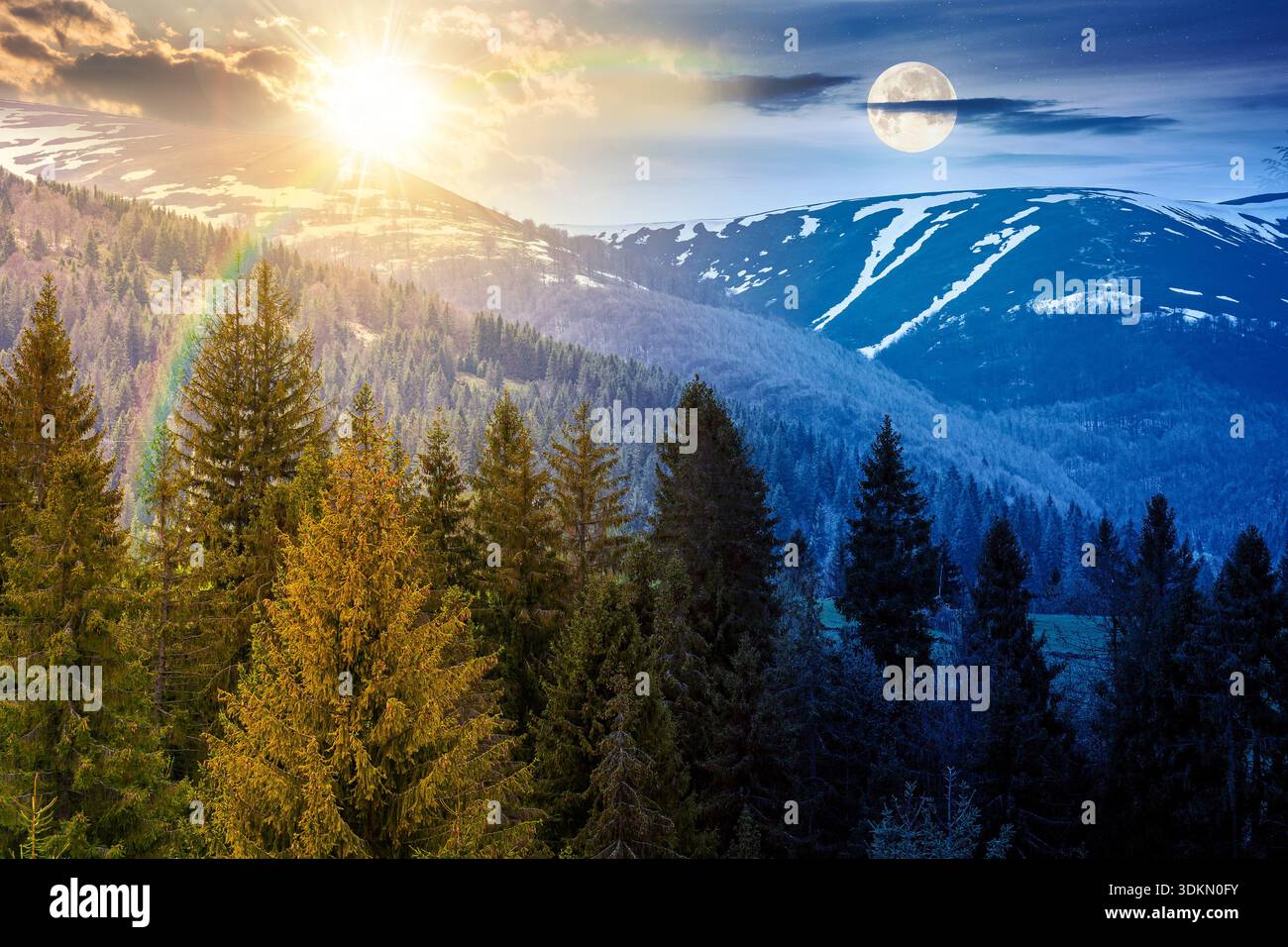 coniferous forest in mountain landscape in spring. day and night time change concept. lush green nature environment under sky with sun and moon. view Stock Photo