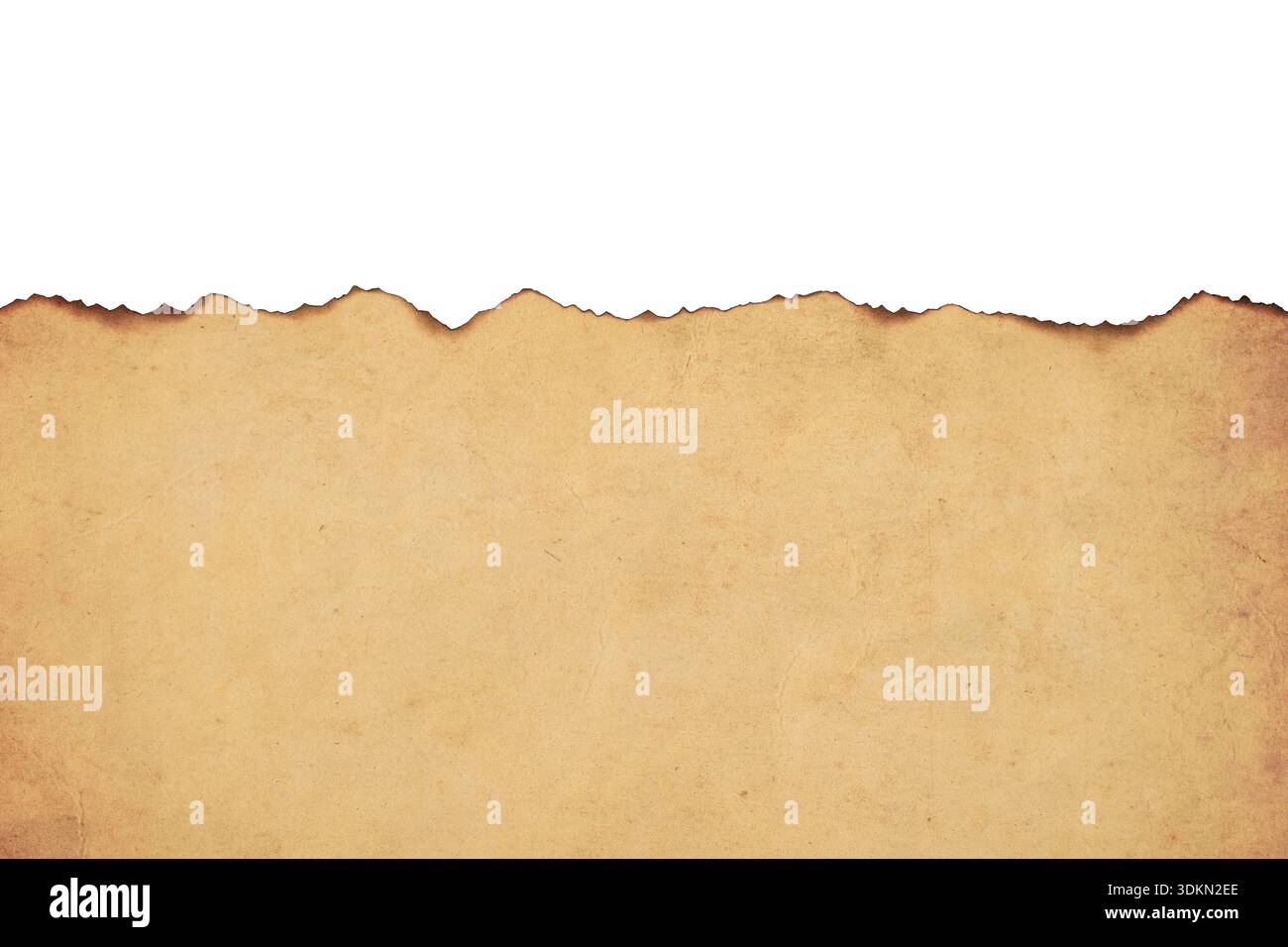 Empty Old Parchment with Burned Edges Isolated on White Background Stock Photo