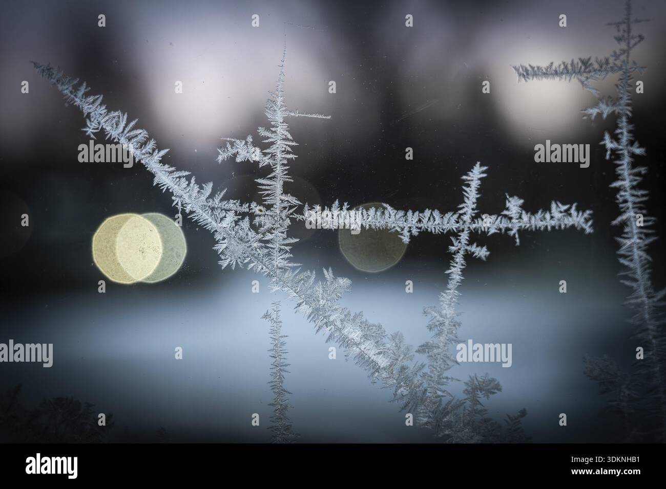 Ice crystals, close-up of frost on glass with bokeh through lights in the background, wintry atmosphere, Finland Stock Photo