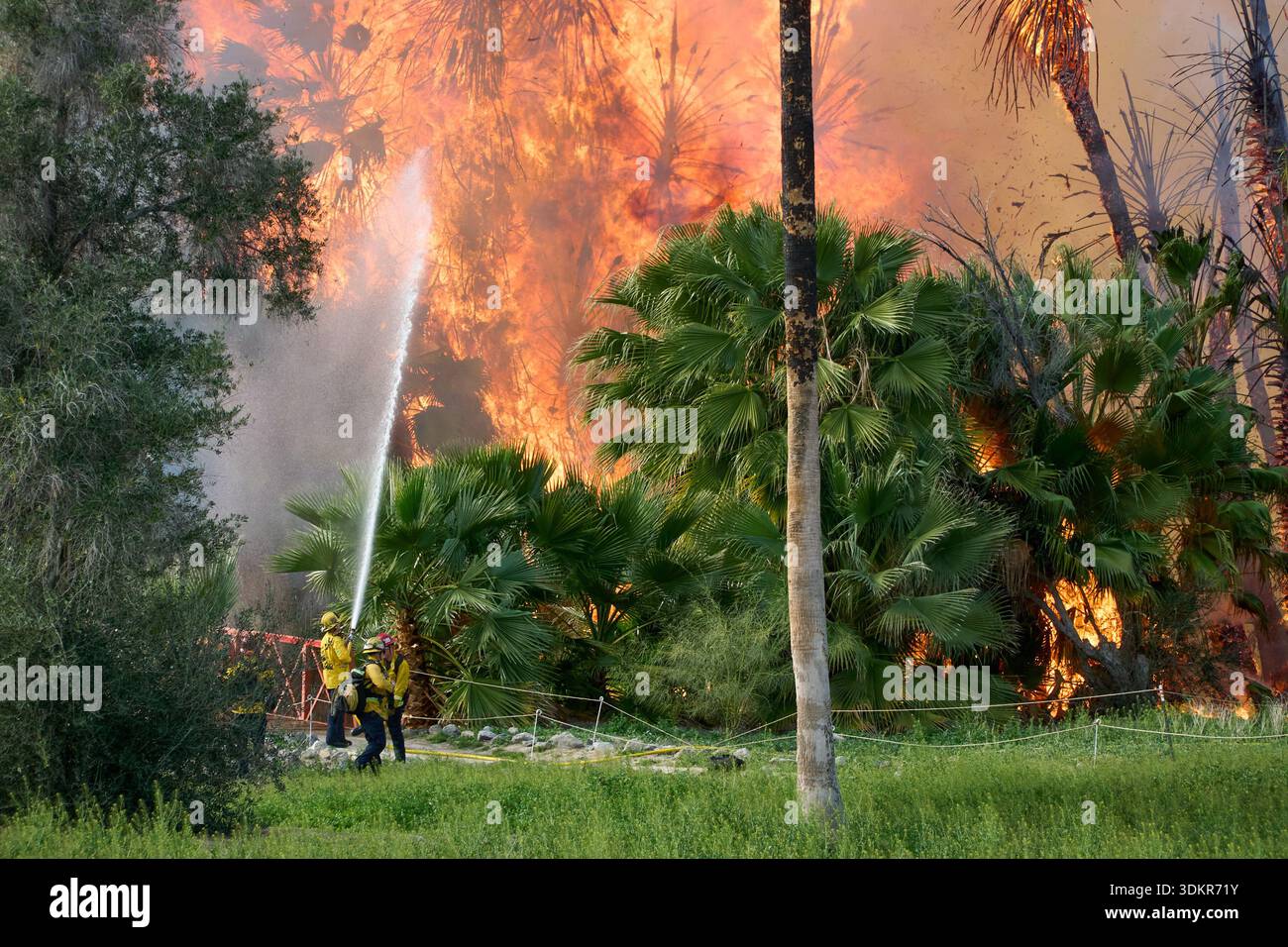 Palm Springs, California, USA. 1st Feb, 2026. Firefighters respond to a ...