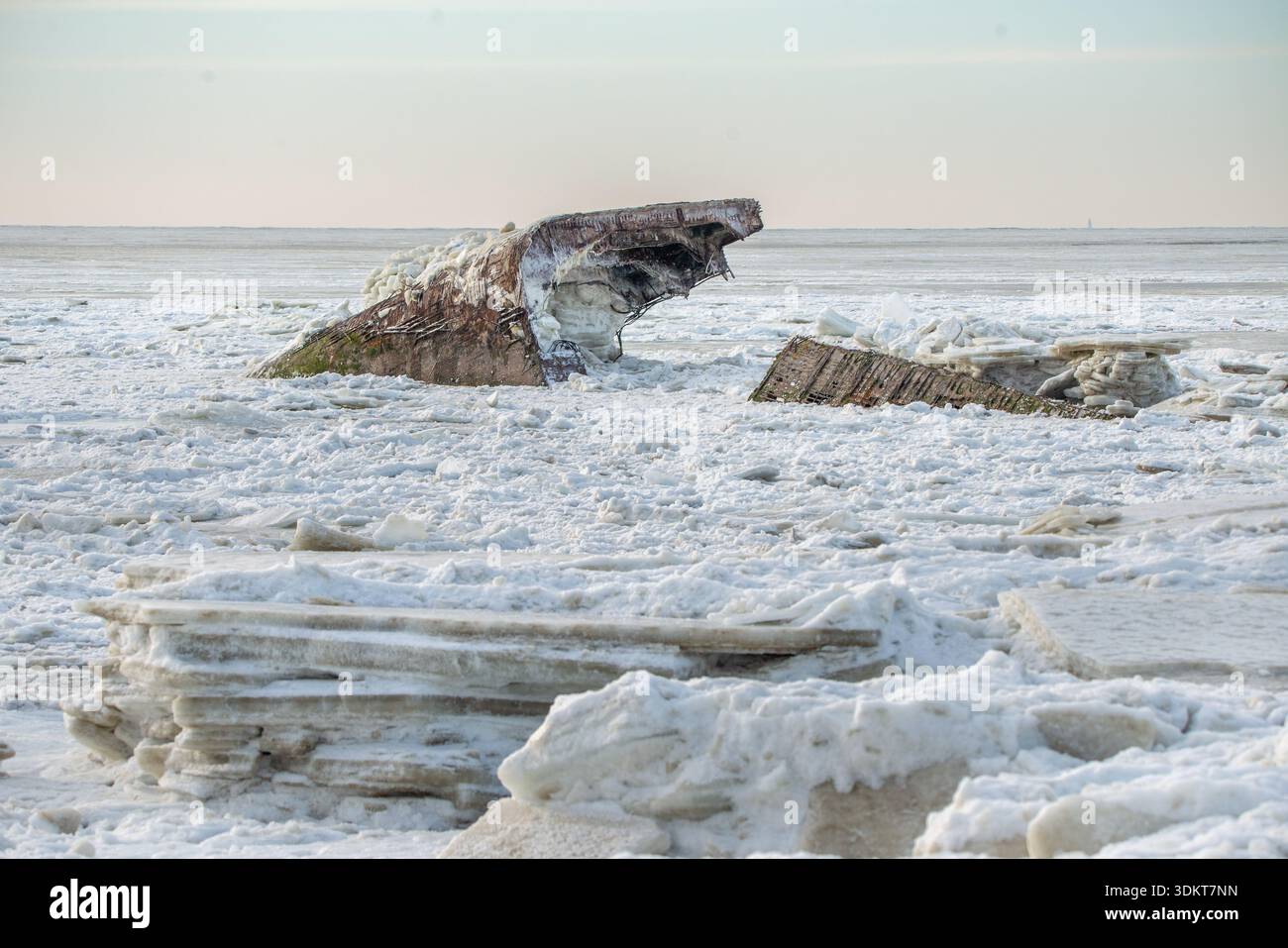 Ss atlantus hi-res stock photography and images - Alamy