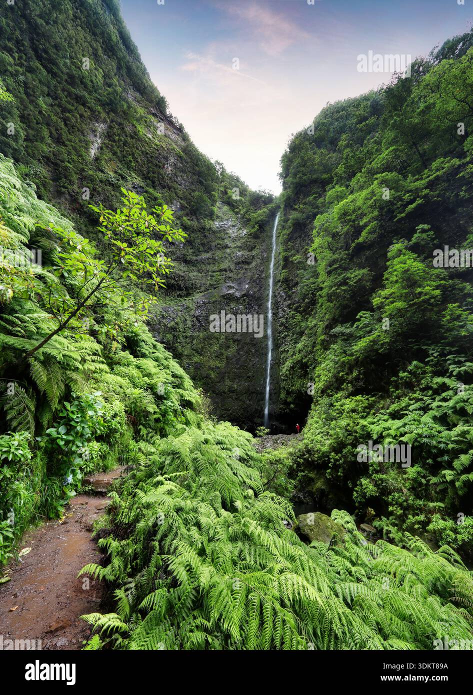 Madeira - Beautiful waterfall in the end of Levada Caldeirao Verde, green rain forest jungle Stock Photo
