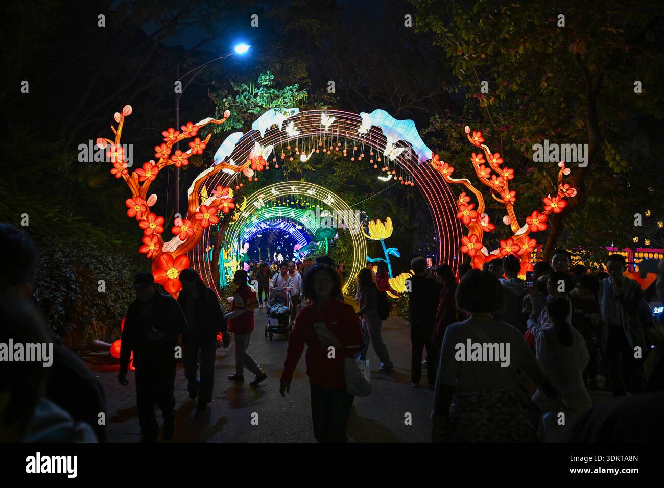 Visitors admire lantersn at the Spring Festival Lantern Show in Yuexiu ...