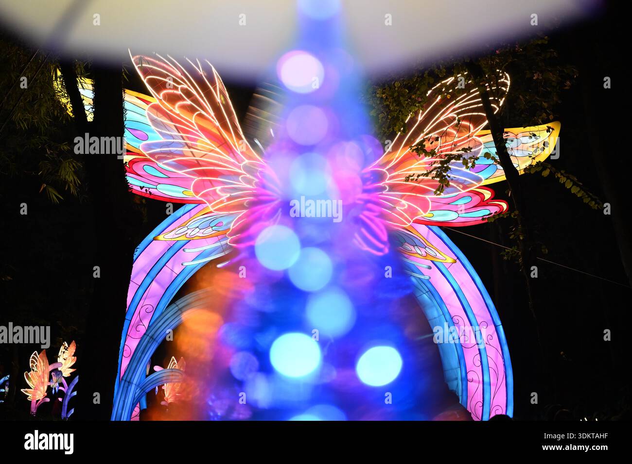 Visitors admire lantersn at the Spring Festival Lantern Show in Yuexiu ...