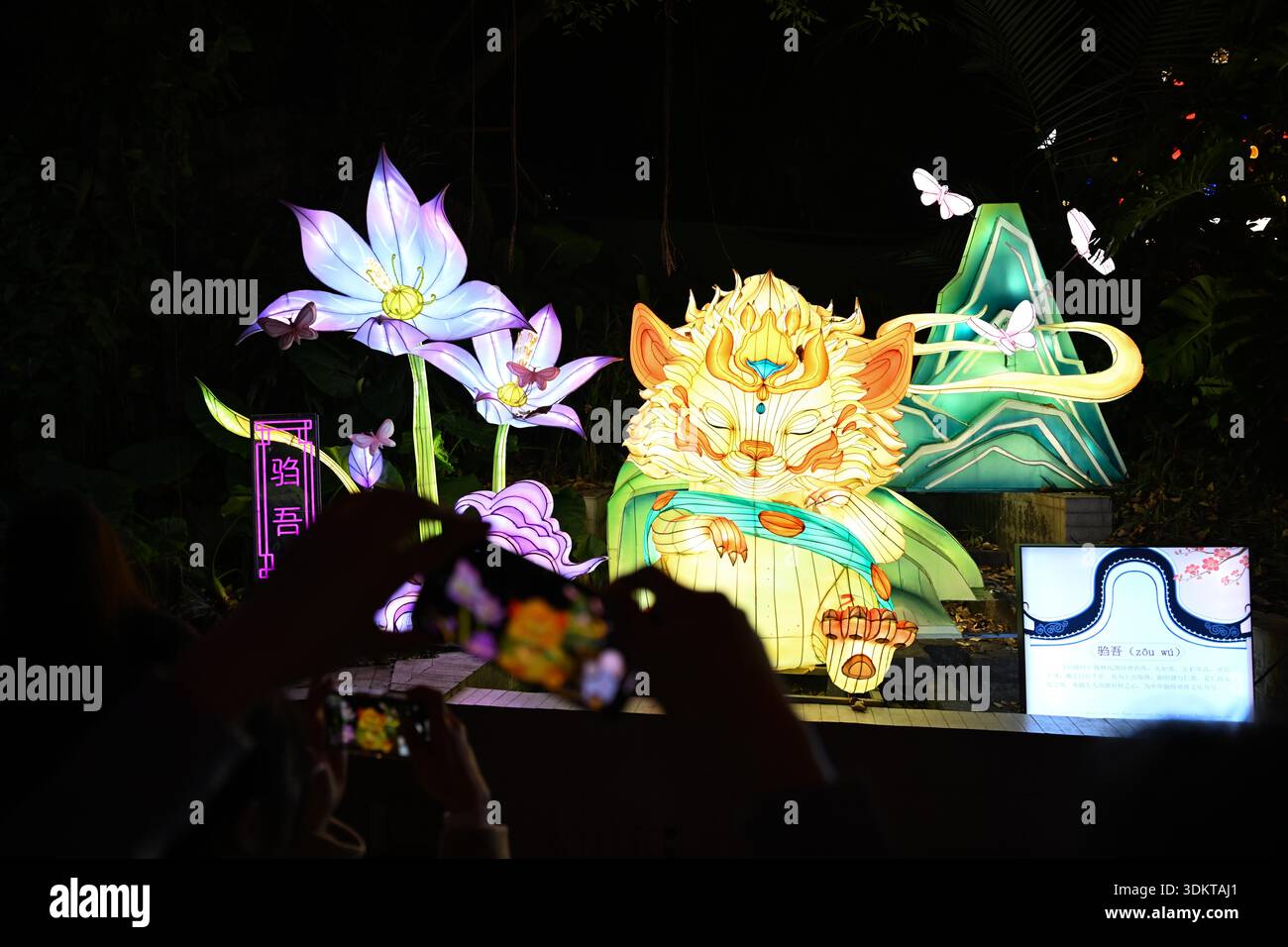 Visitors admire lantersn at the Spring Festival Lantern Show in Yuexiu ...