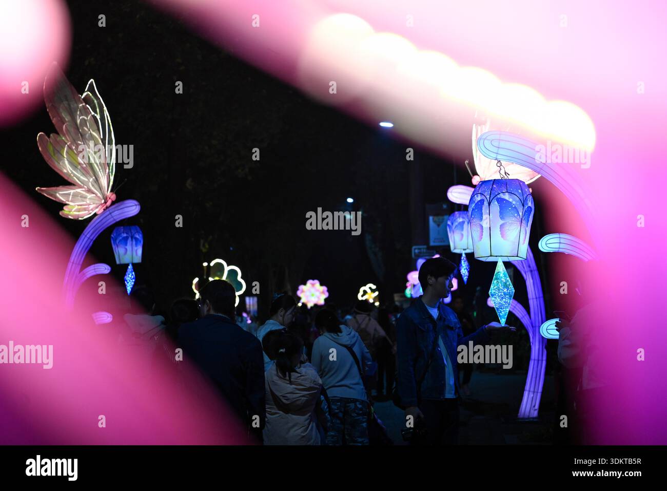 Visitors admire lantersn at the Spring Festival Lantern Show in Yuexiu ...