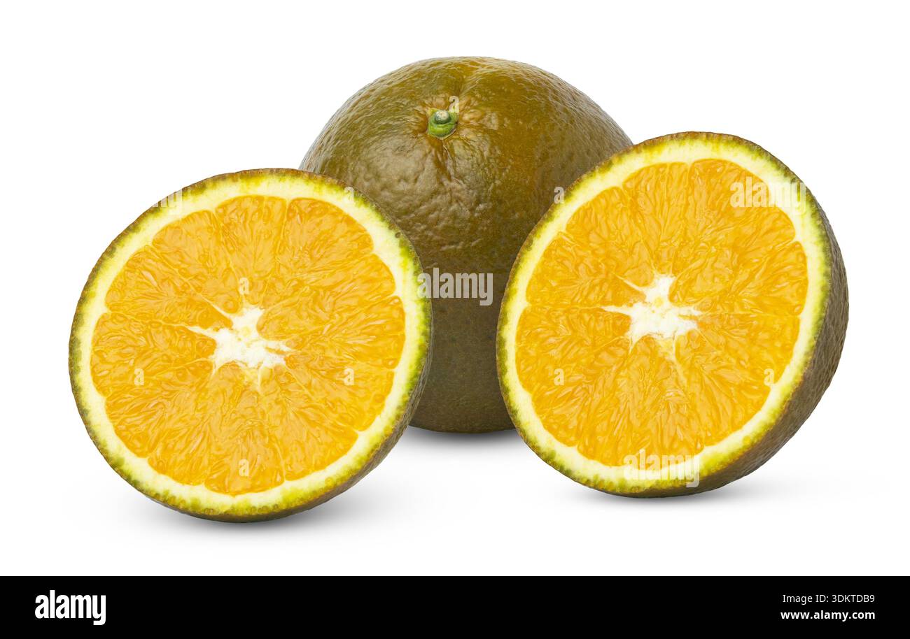 Whole bronze orange and two slices. Navel chocolate orange citrus fruit and cut in a half isolated. Stock Photo