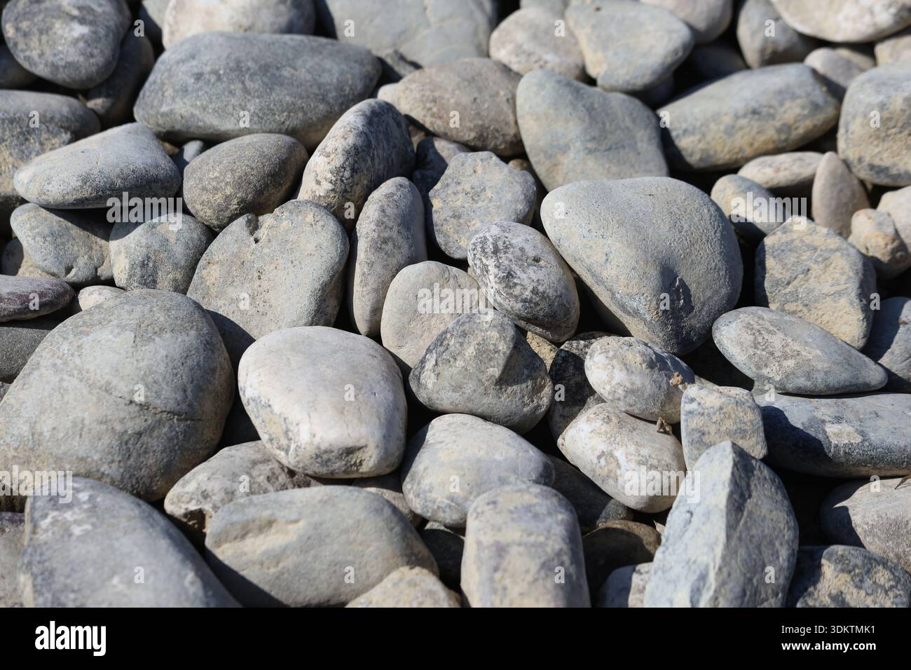 Smooth Grey River Pebbles and Stones Texture: Close-up Top View of Rounded  Lake Side Rocks Glistening Under Bright Natural Sunlight in Summer Stock  Photo - Alamy