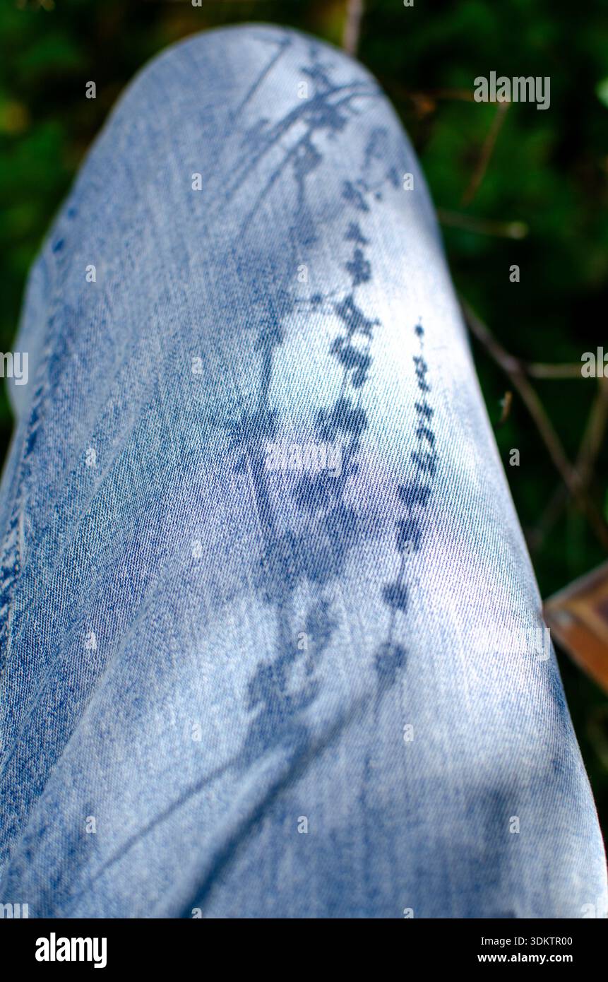 Jean Leg Art with Shadows and Sunlight in Outdoors Close Up Stock Photo