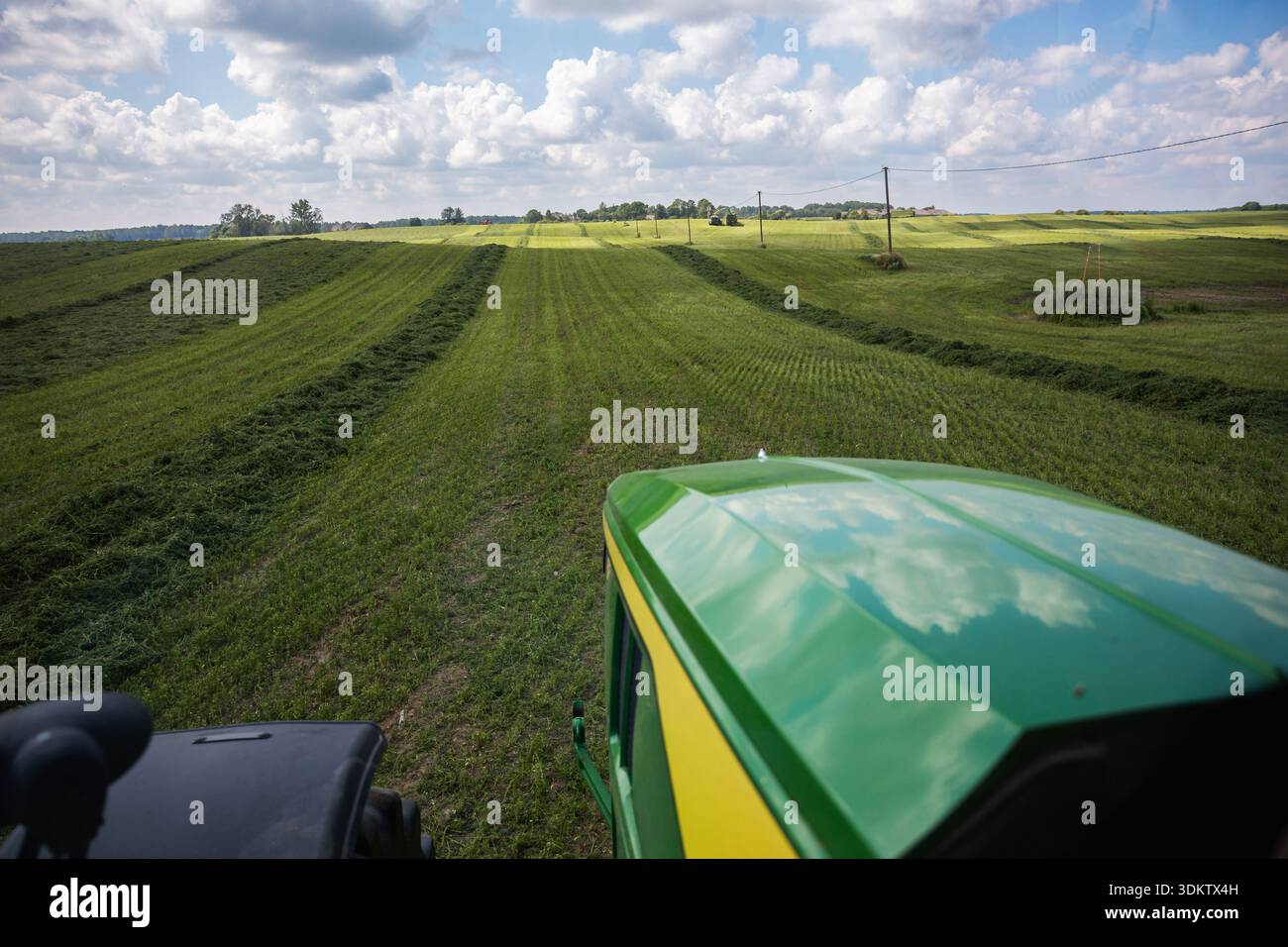From a tractor seat, long windrows of cut grass run in parallel bands ...