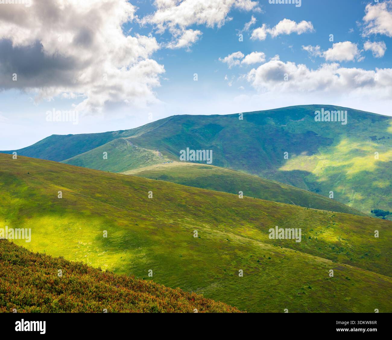 carpathian mountain landscape of ukraine in summer. beautiful travel background with rolling hills. lush green grassy hillside in dappled light. trans Stock Photo