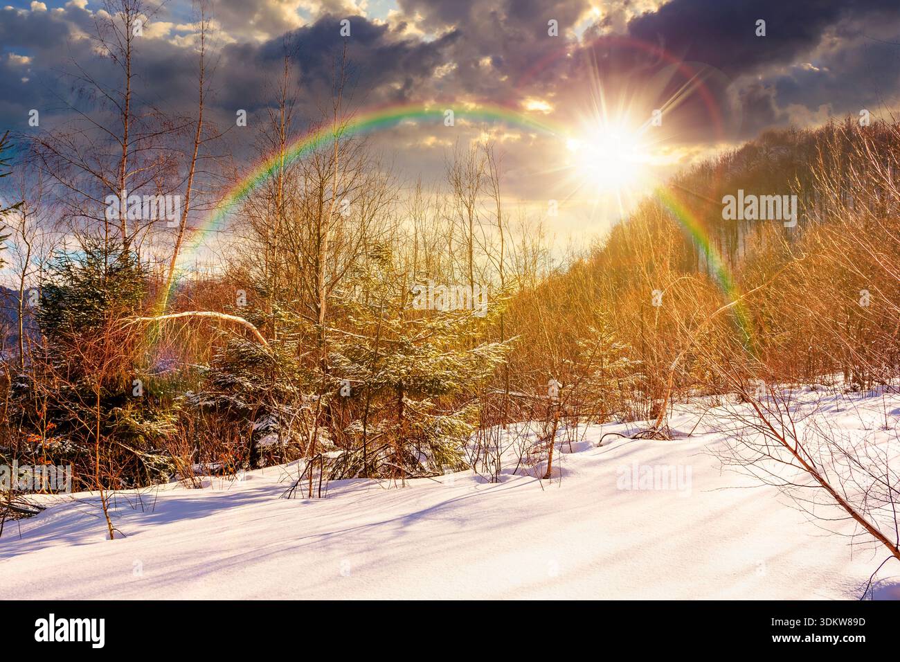 winter landscape at sunset. deciduous forest on snow covered hill in evening light. scenic scenery of natural park under blue sky for travel backgroun Stock Photo