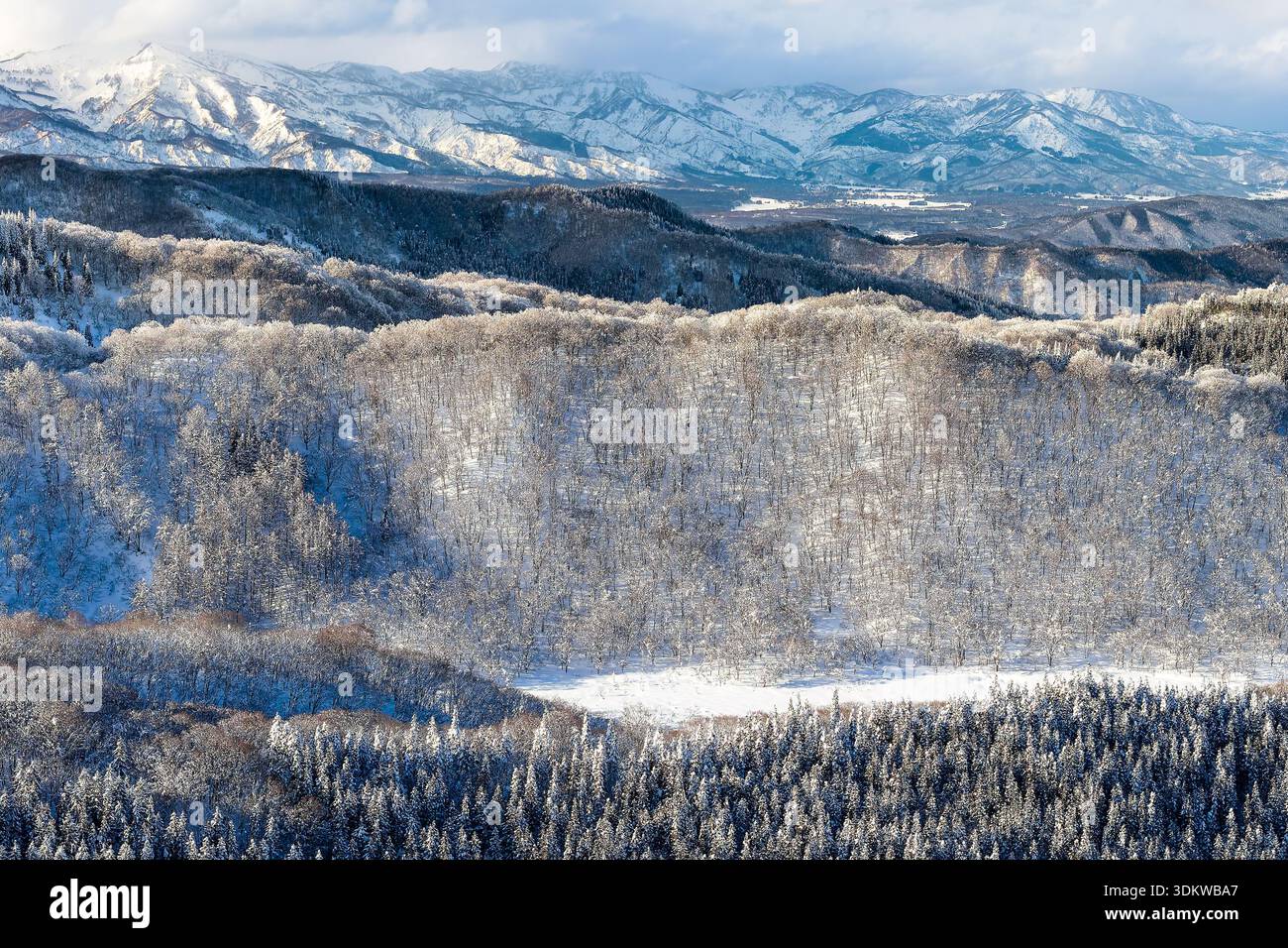 High angle view of snowy forest and distant mountain peaks on