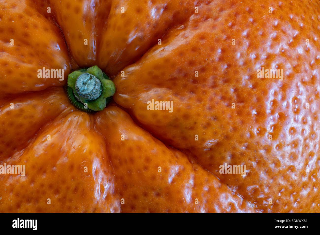 Clementine close-up Stock Photo
