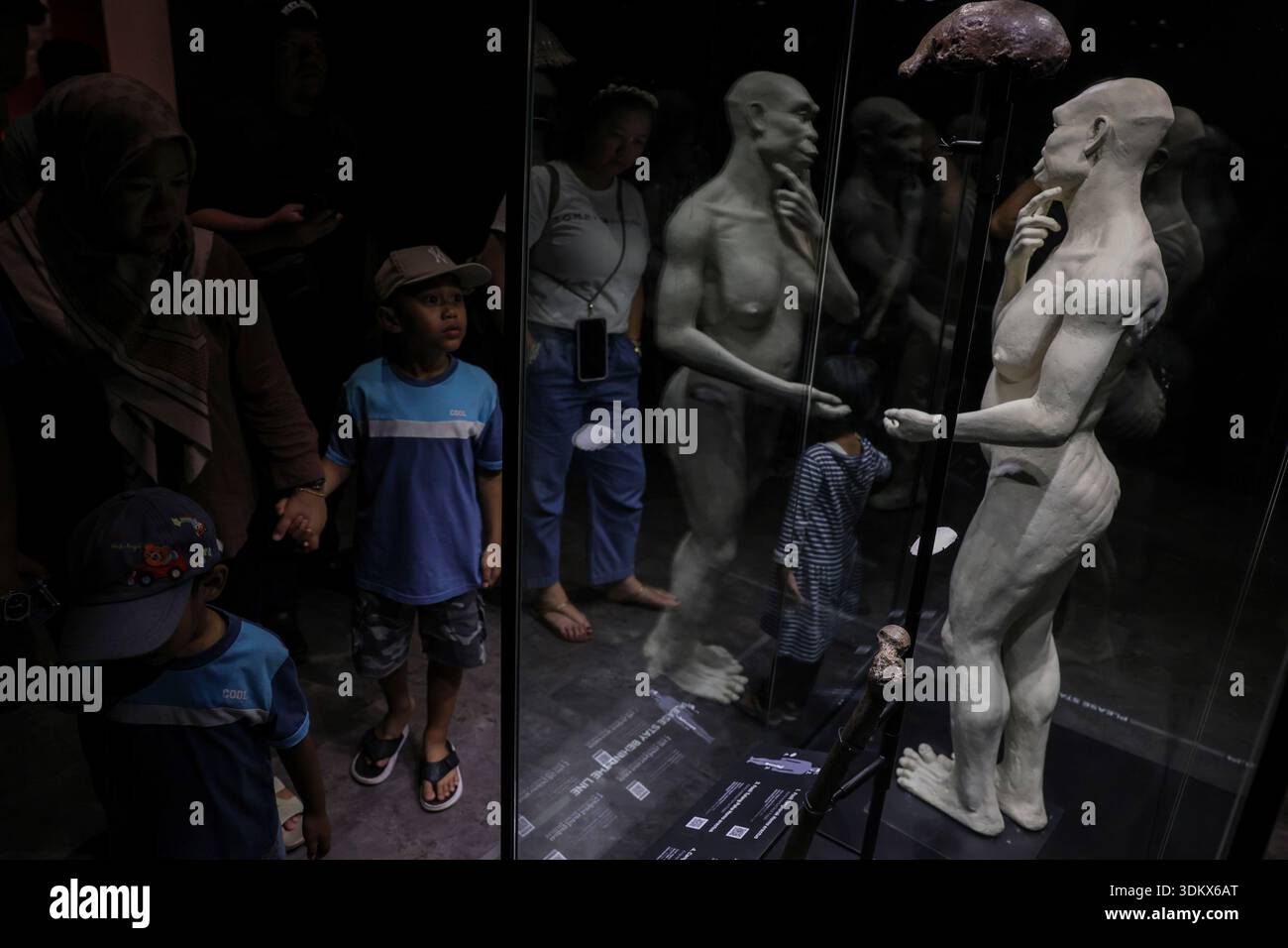Trinil Java Historic fossils of early humans, Homo erectus, known as ''Java Man ...