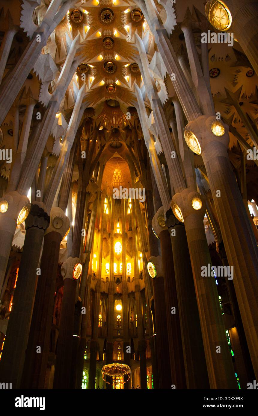 Interior of Sagrada Familia Basilica with Illuminated Columns and ...