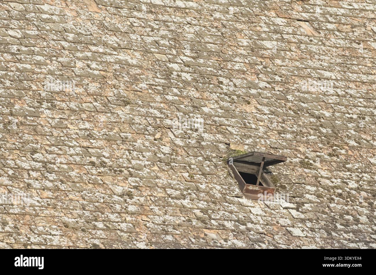 Withered roof hi-res stock photography and images - Alamy