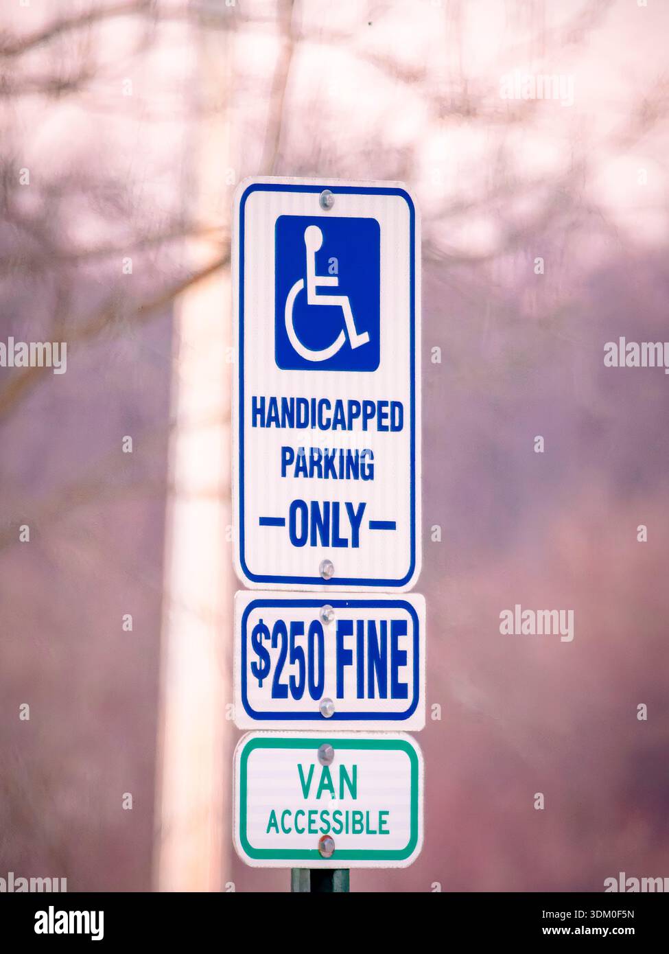 Vertical stack of handicapped parking signs including the international ...