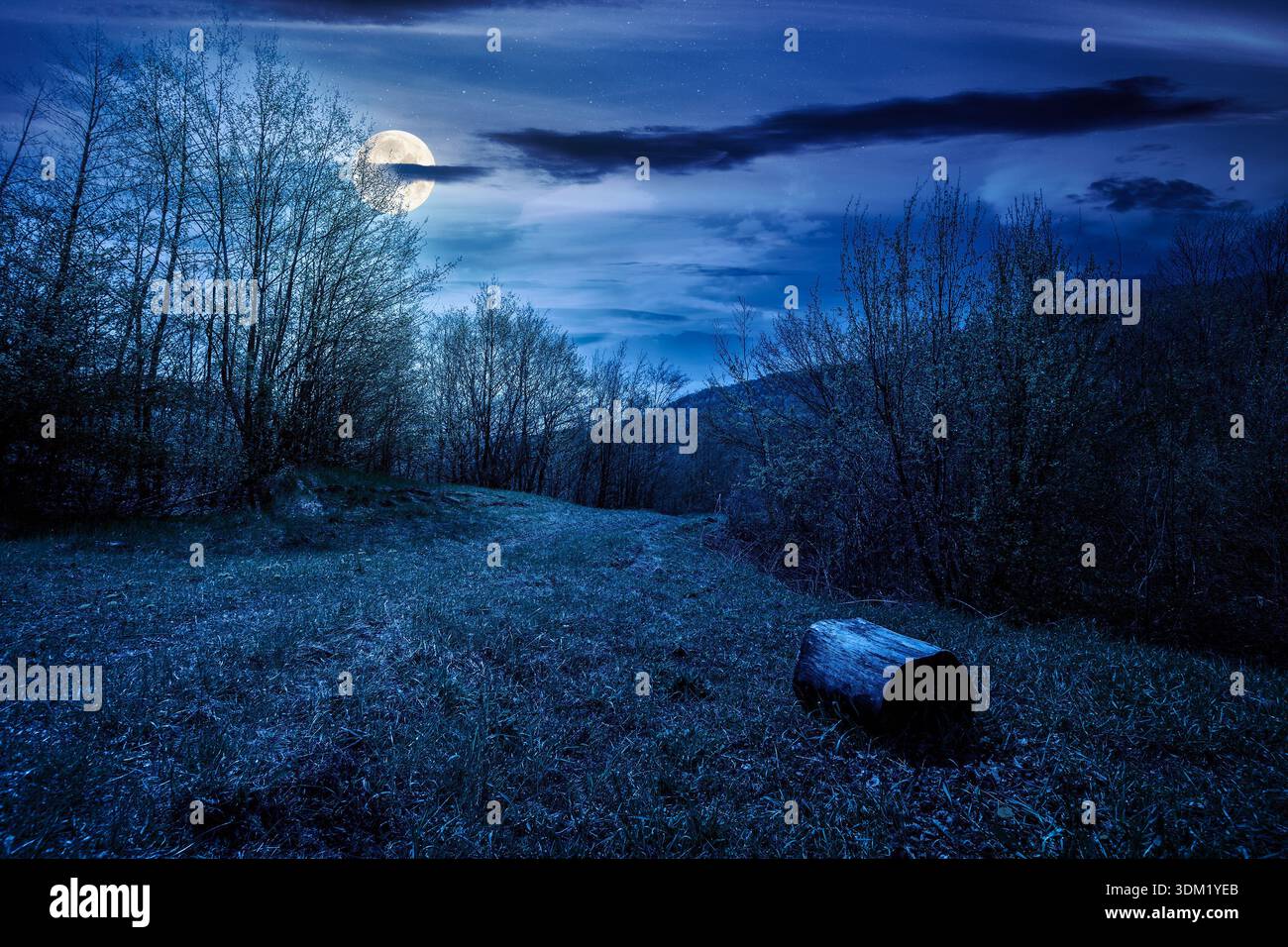 mountain landscape with green grass on a forest glade in spring at night. beautiful nature scenery with beech trees under dark sky in full moon light. Stock Photo