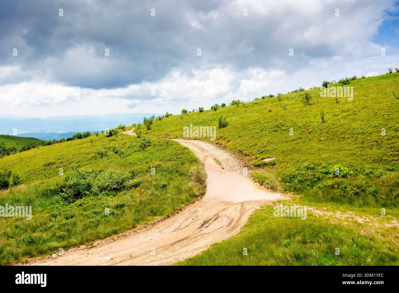 country dirt road through carpathian mountains of ukraine on a summer day. scenic view of green rolling hills under blue sky with clouds. beautiful al Stock Photo