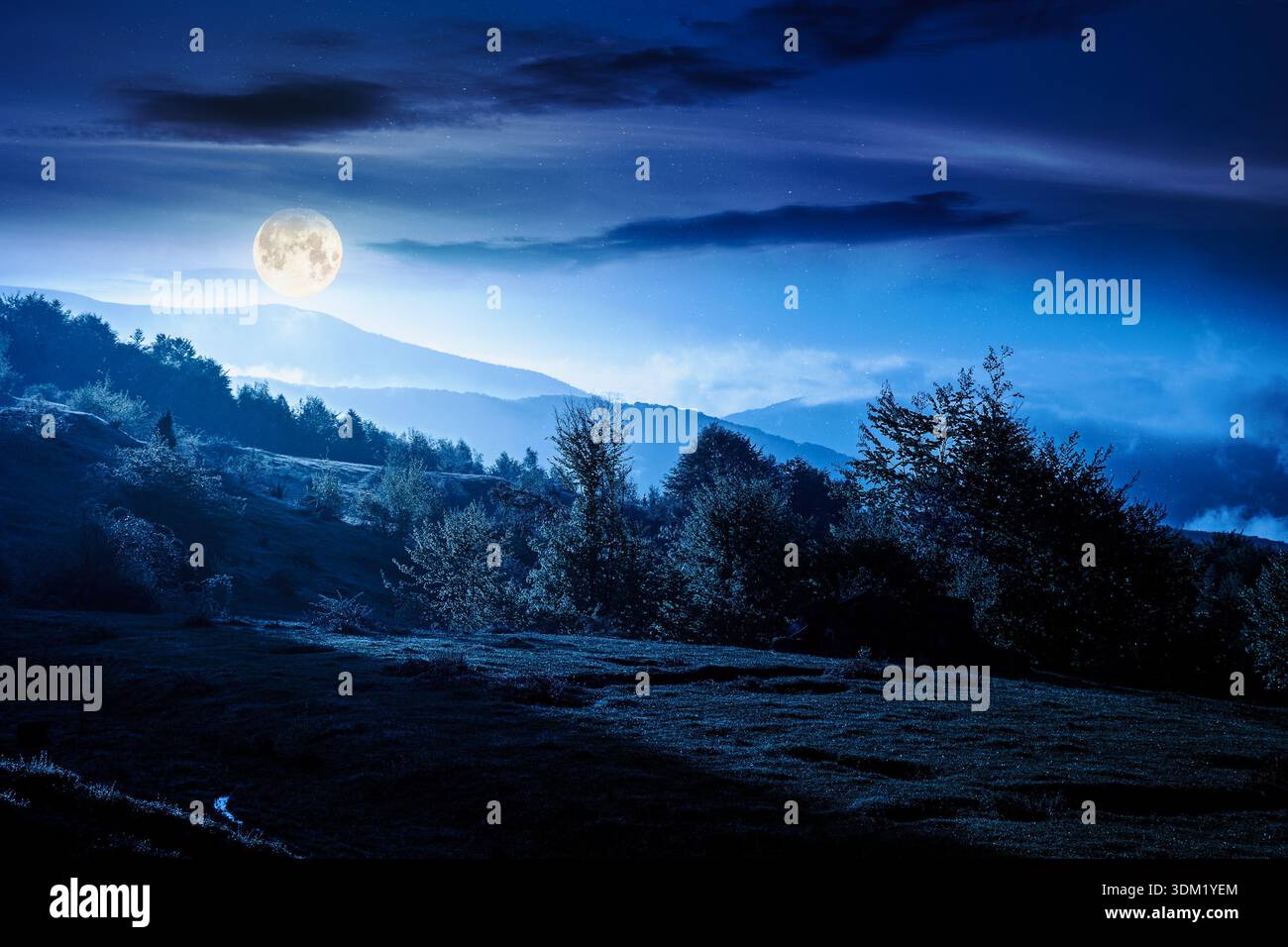mountain landscape in fog at night. lush alpine meadows in spring in full moon light. beautiful view in to the valley. dark sky with clouds. backdrop Stock Photo