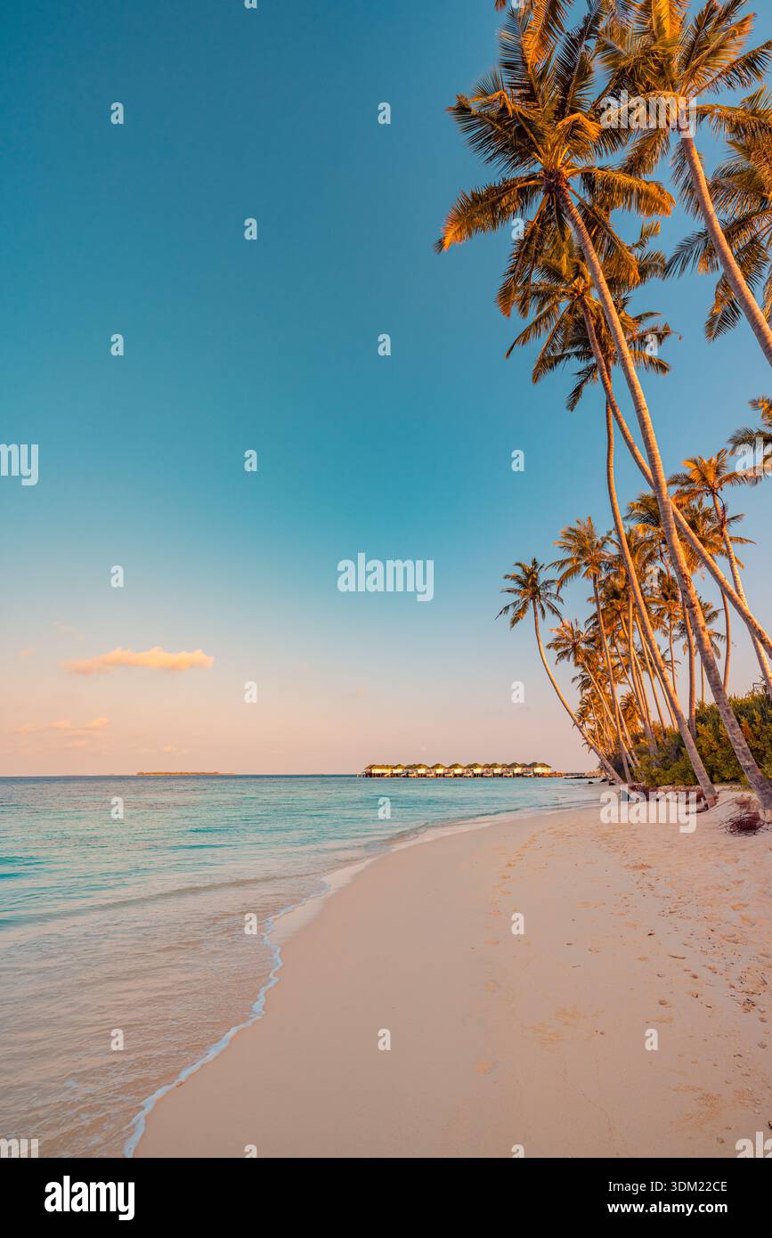 Tropical sunset beach palm hi-res stock photography and images - Alamy