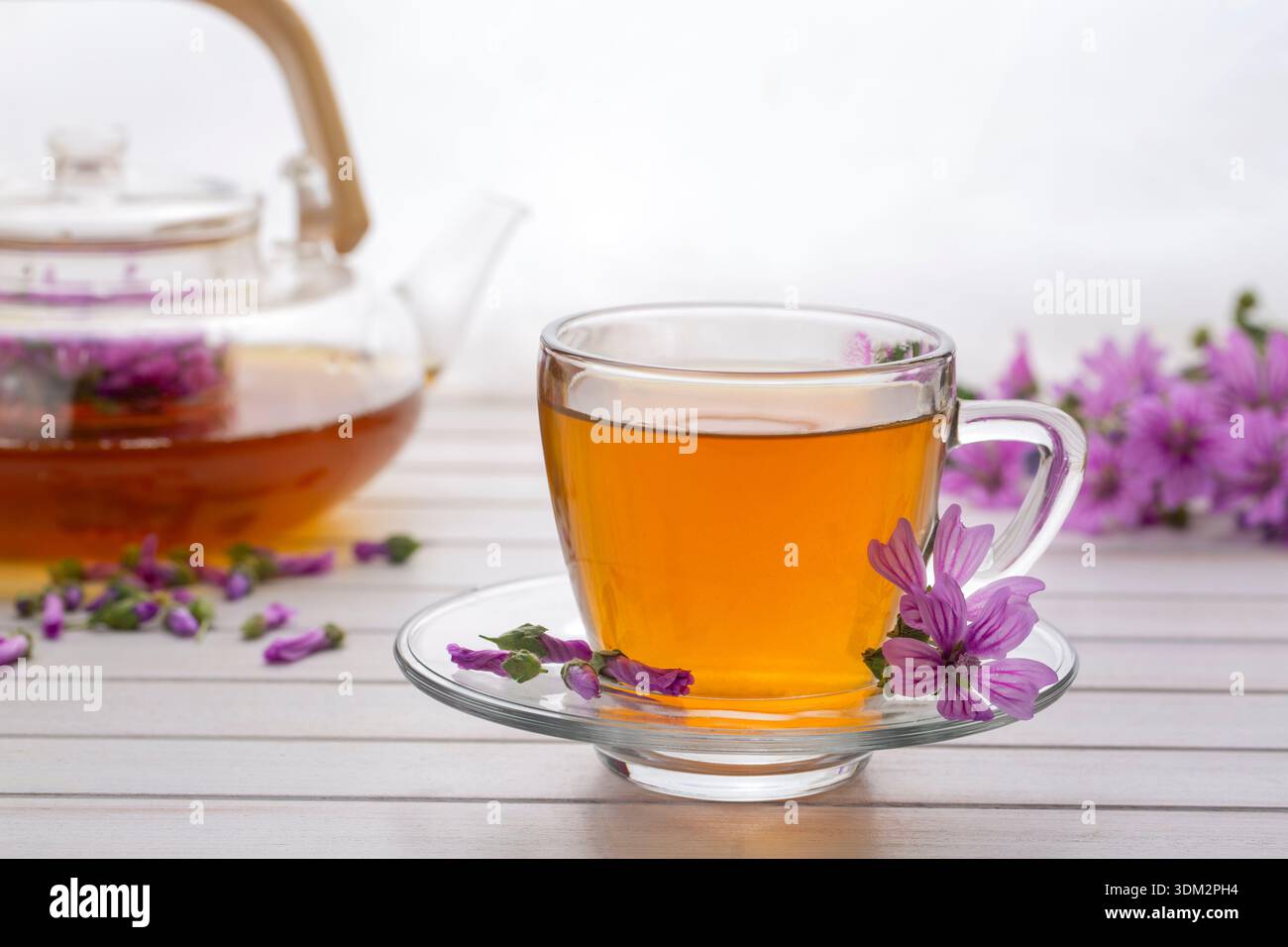 Malvae Tea Malva vulgaris hi-res stock photography and images - Alamy
