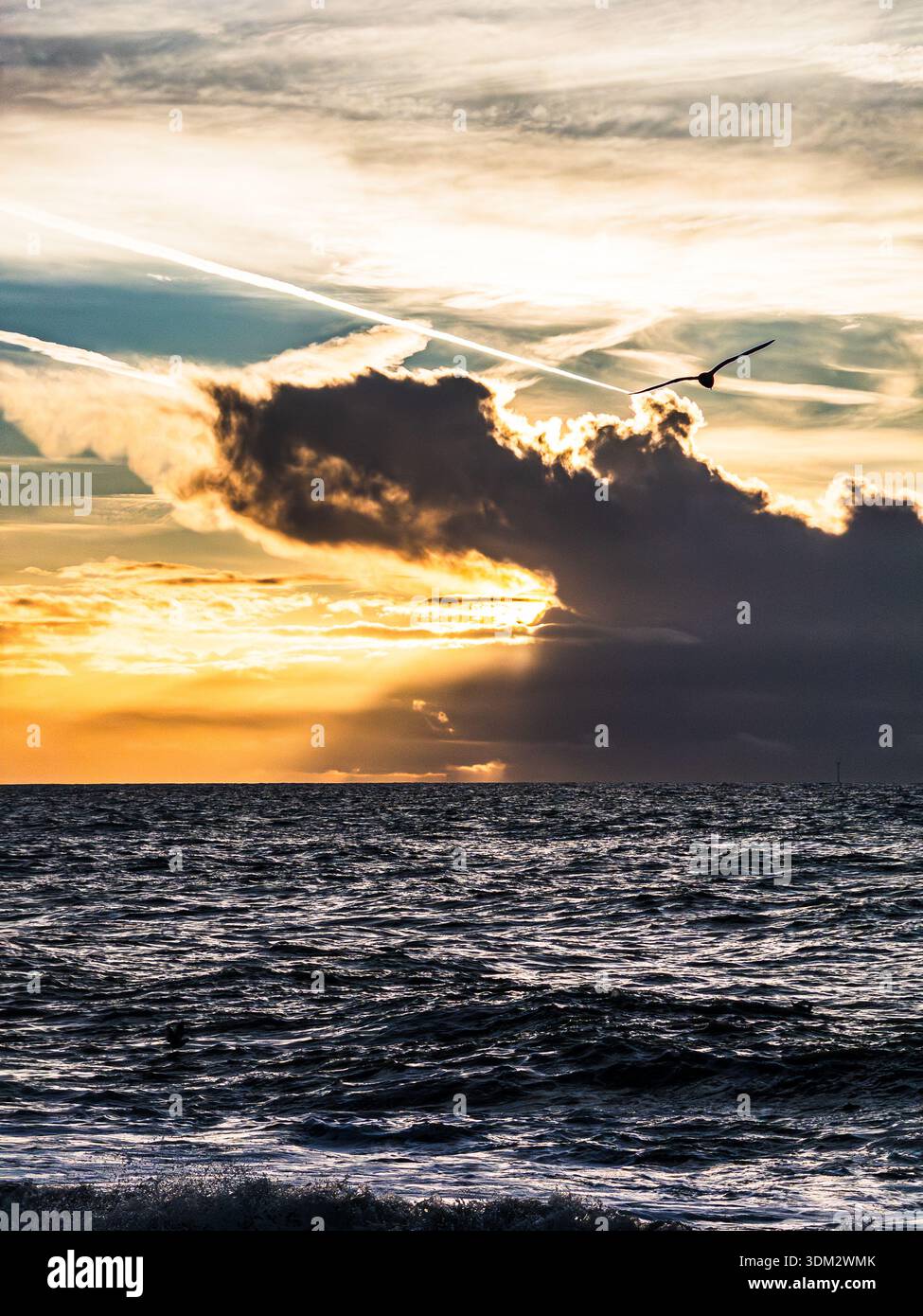 Dramatic sunrise over English Channel from Worthing beach featuring flying seagull silhouette, airplane contrail piercing massive orange-glowing cloud - Smartphone Captured Stock Image