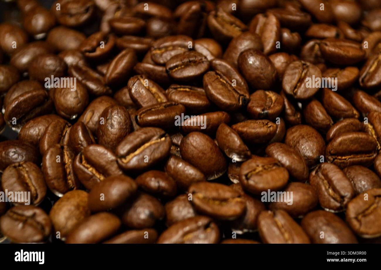 Roasted coffee beans background, full frame texture Stock Photo