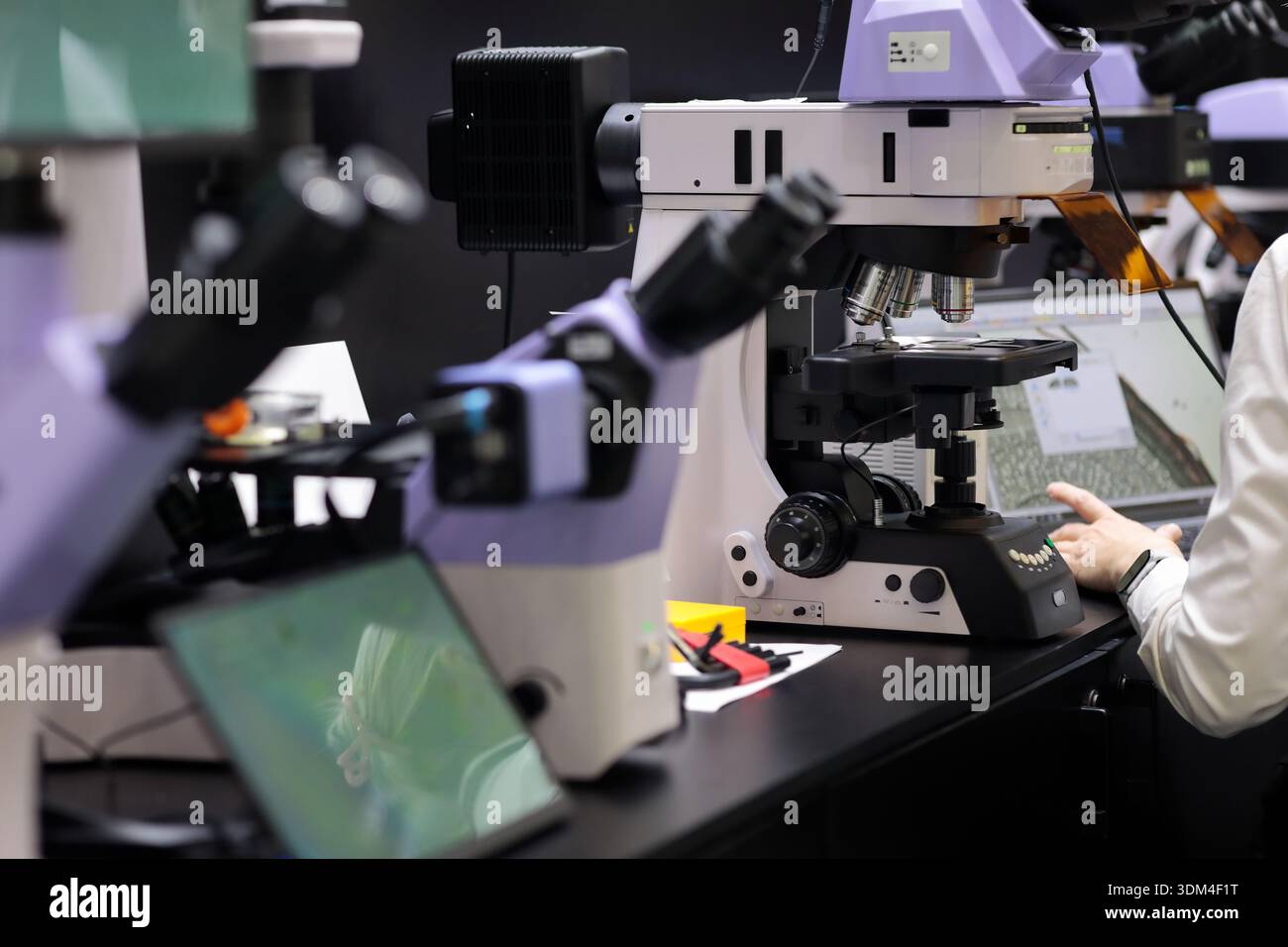 Modern laboratory with professional microscopes. Female scientist is researching samples on a computer. Selective focus. Stock Photo