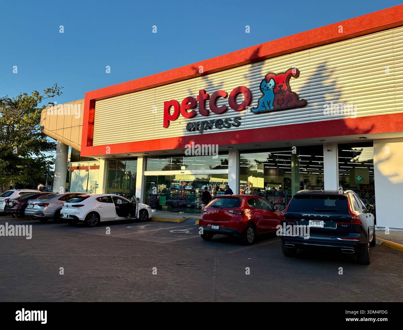 Huge Petco Express store, Merida, Mexico - Smartphone Captured Stock Image