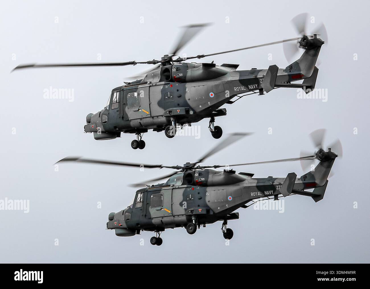 Royal Navy AW159 Wildcat helicopters flying in formation during an air display under dramatic grey skies in the UK. Stock Photo