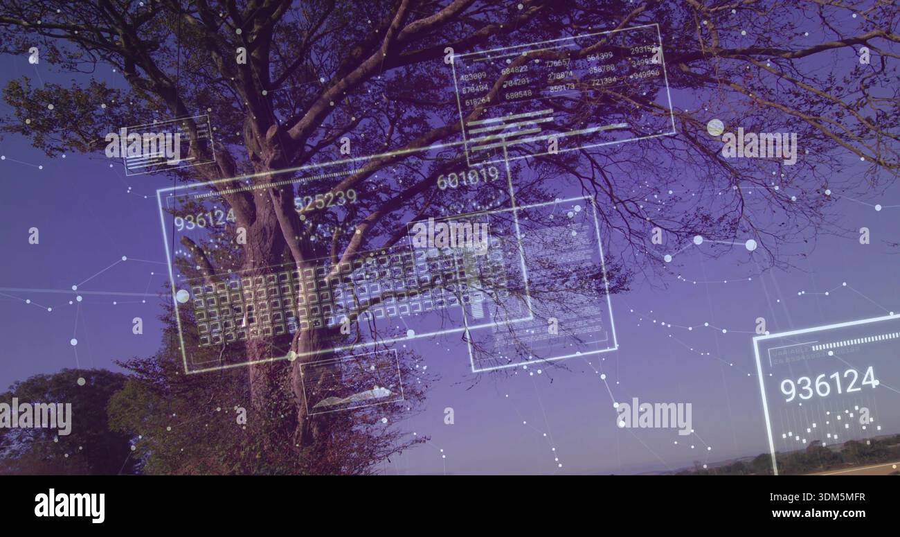 Displaying large deciduous tree projecting UI panels across dusk park horizon, numeric codes, nodes Stock Photo