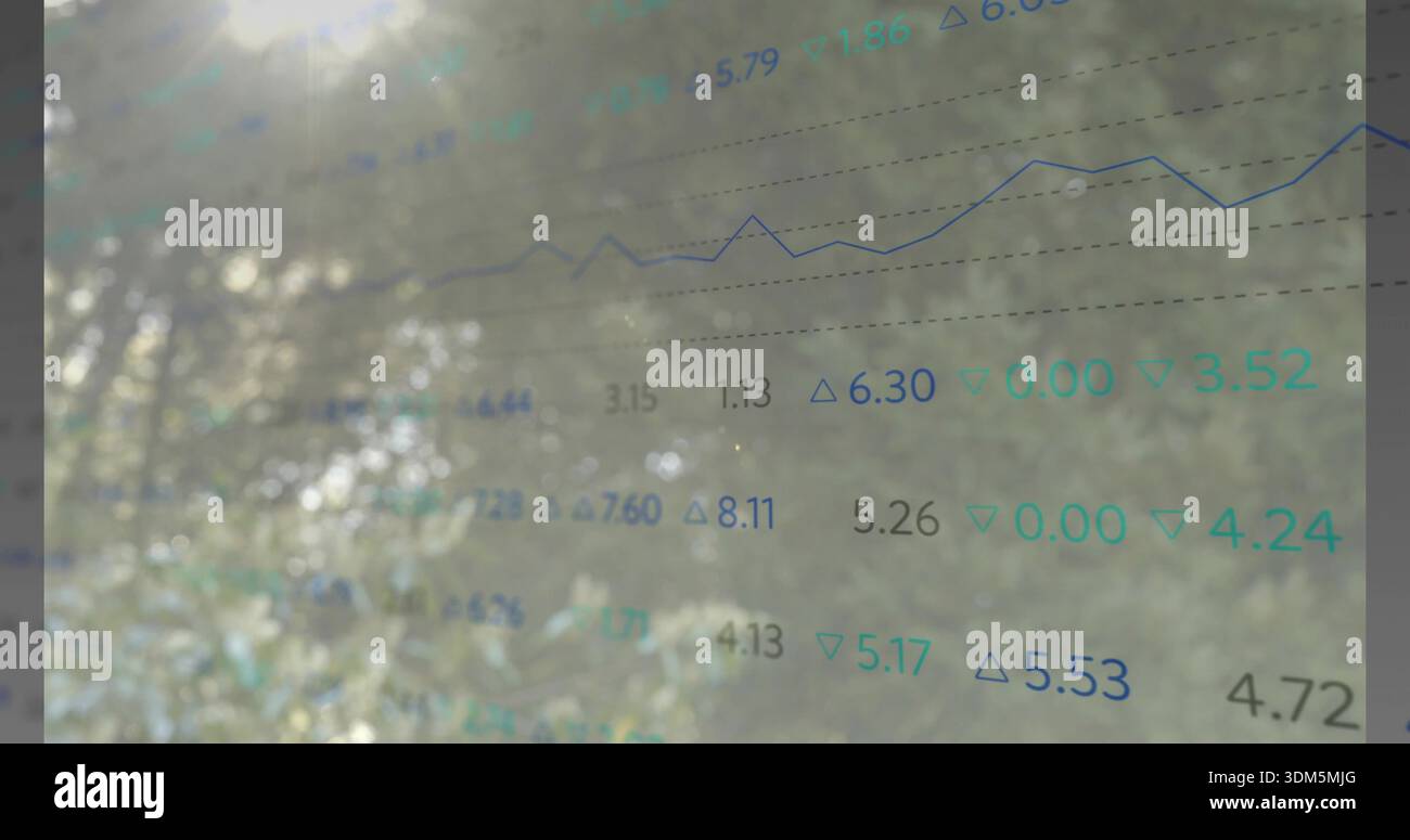Displaying translucent line chart overlay filling center over trees and glare, showing teal tickers Stock Photo