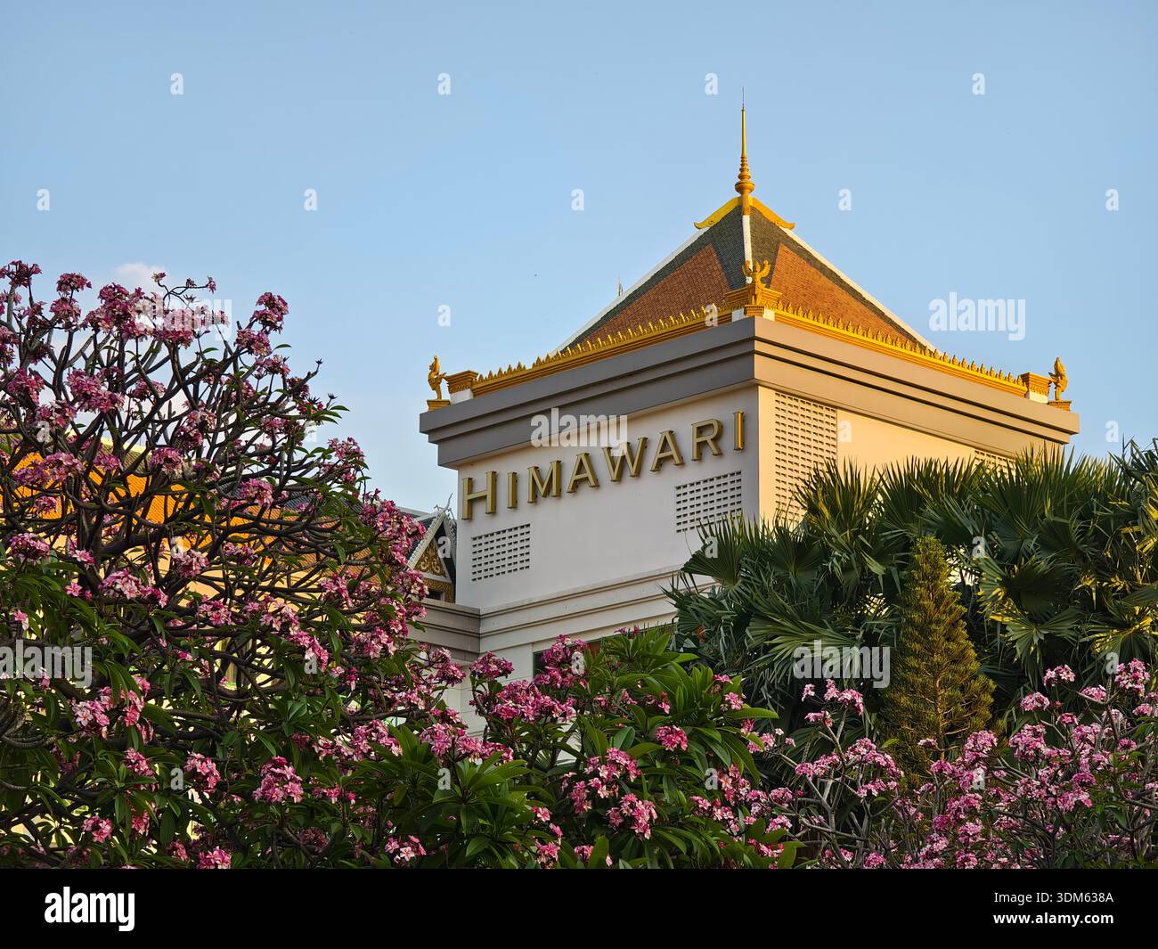 Himawari hi-res stock photography and images - Alamy