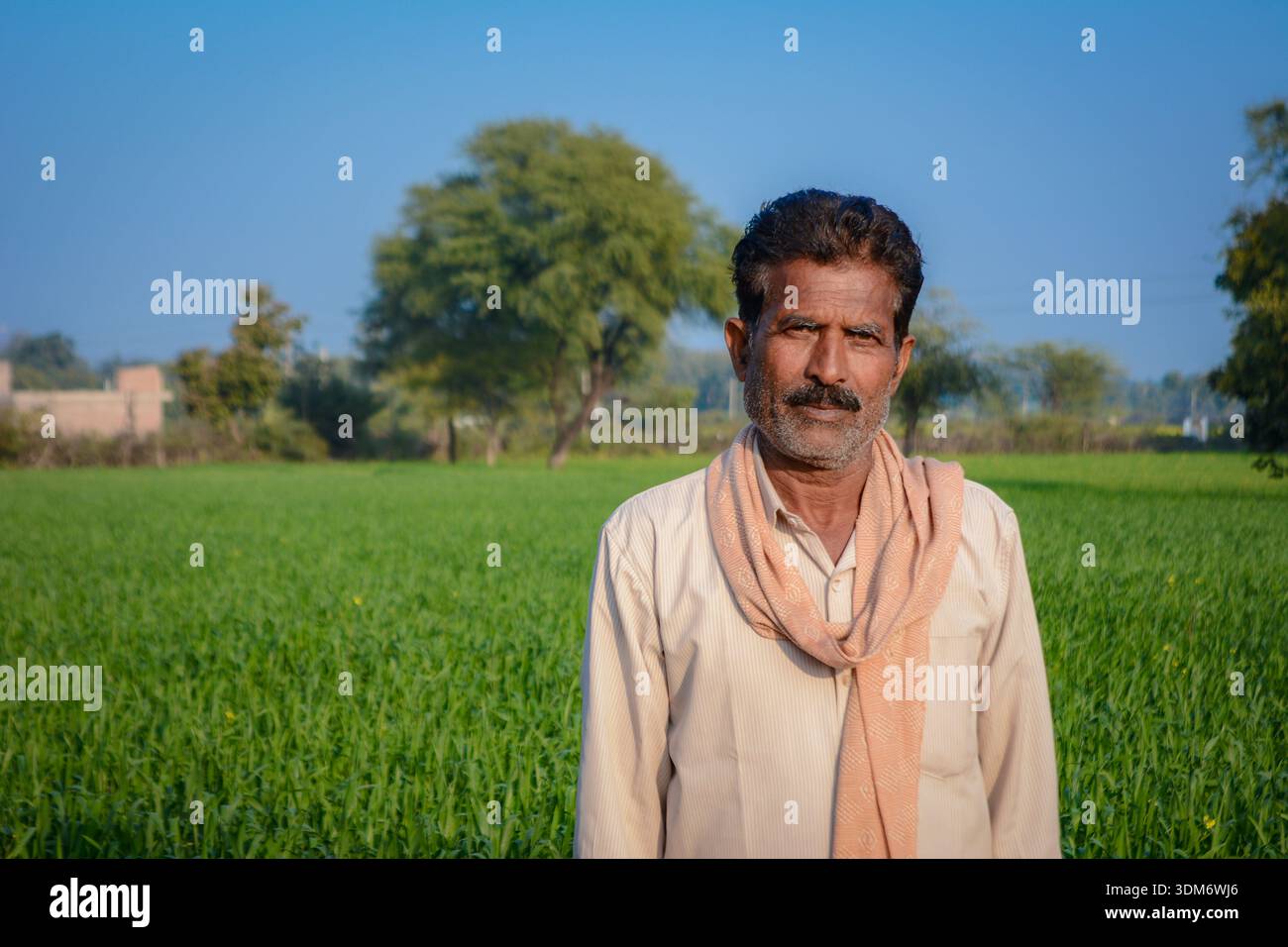 Indian farmer standing in green crop field looking at camera Stock Photo